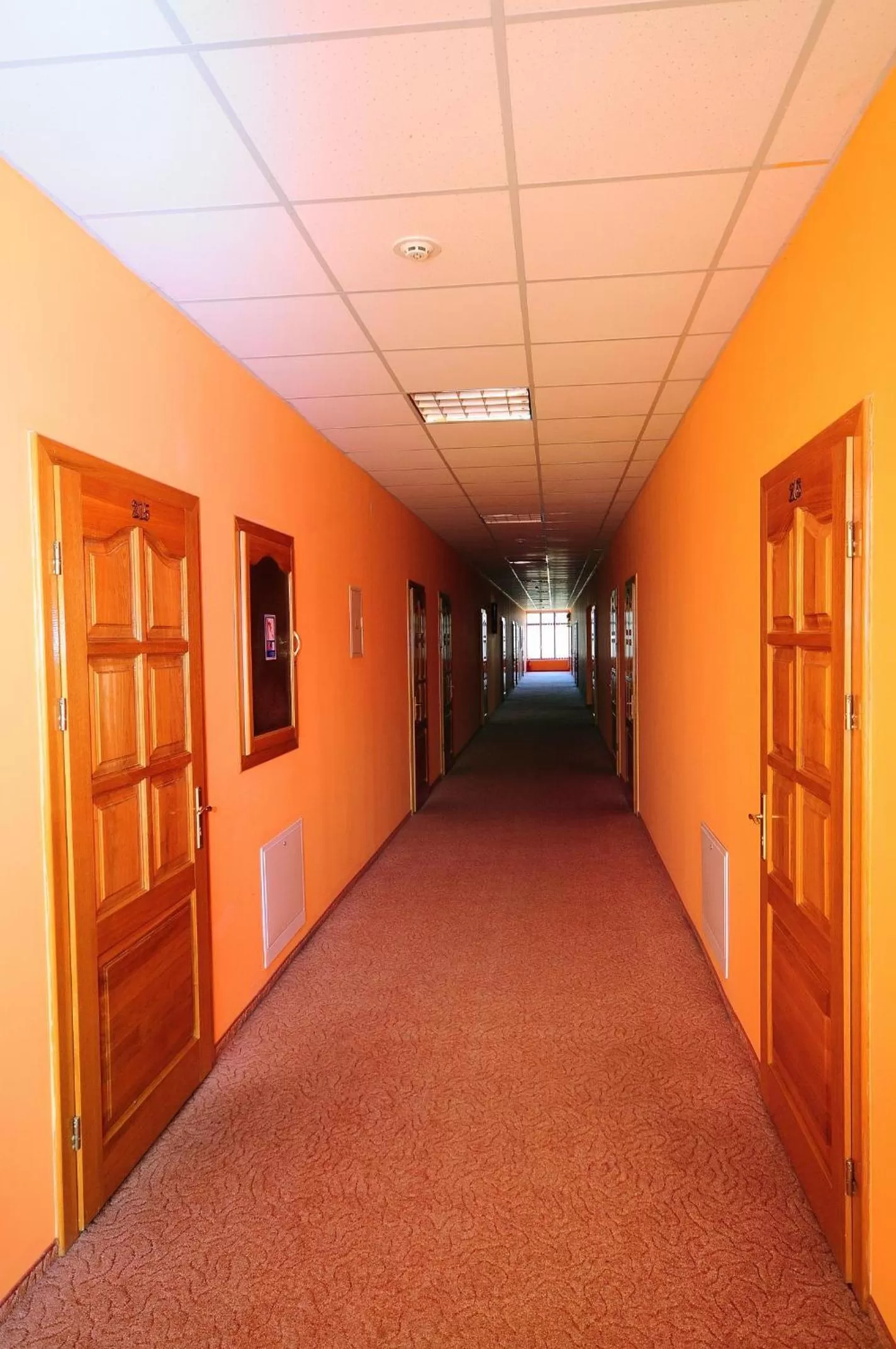 Decorative detail in Chervona Gora