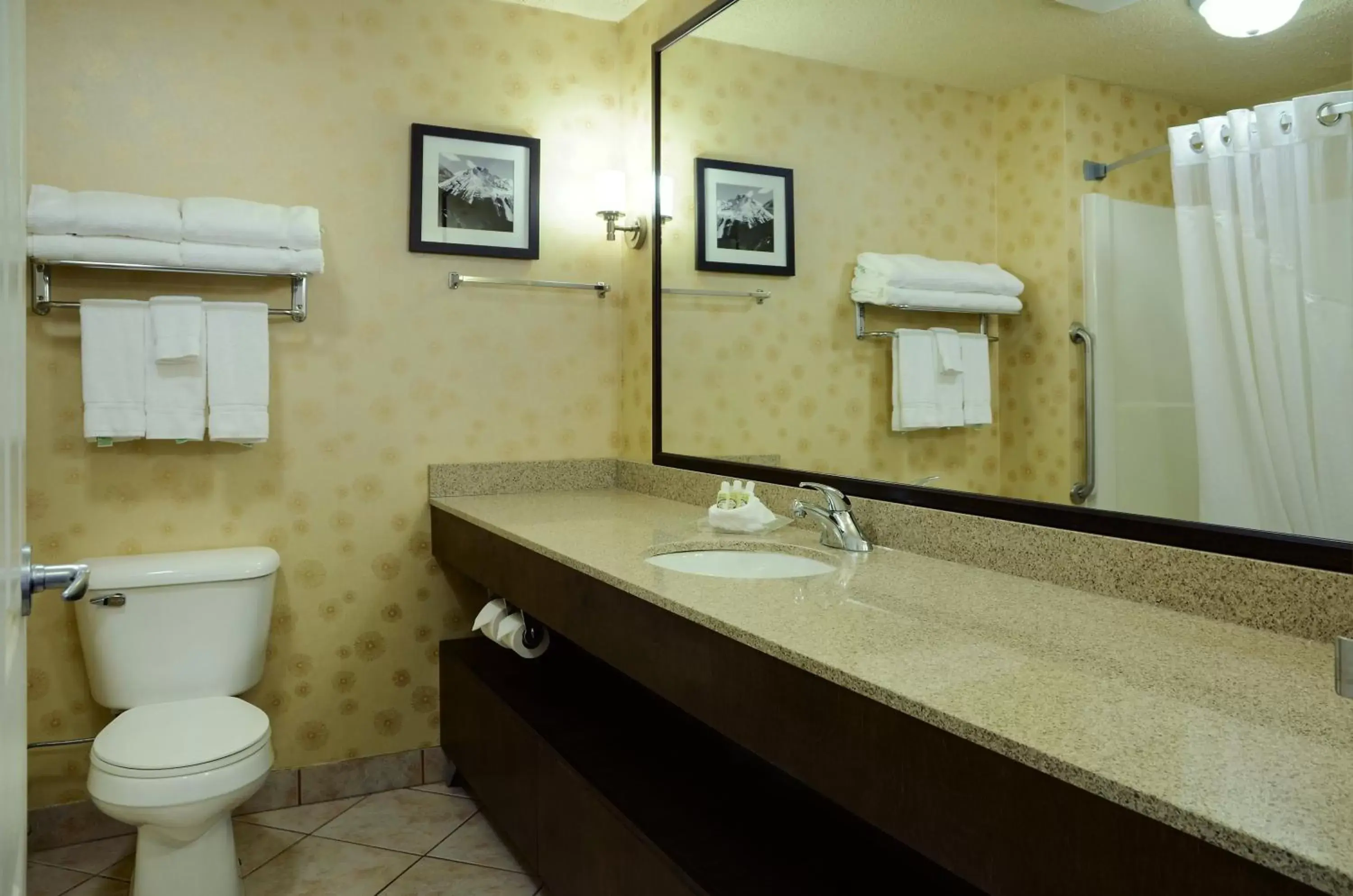 Bathroom in Holiday Inn Lethbridge, an IHG Hotel