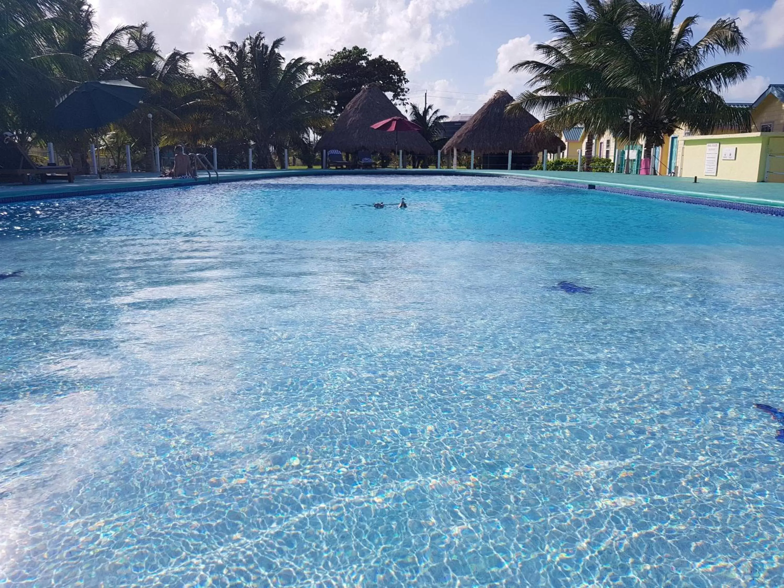 Swimming Pool in Royal Caribbean Resort