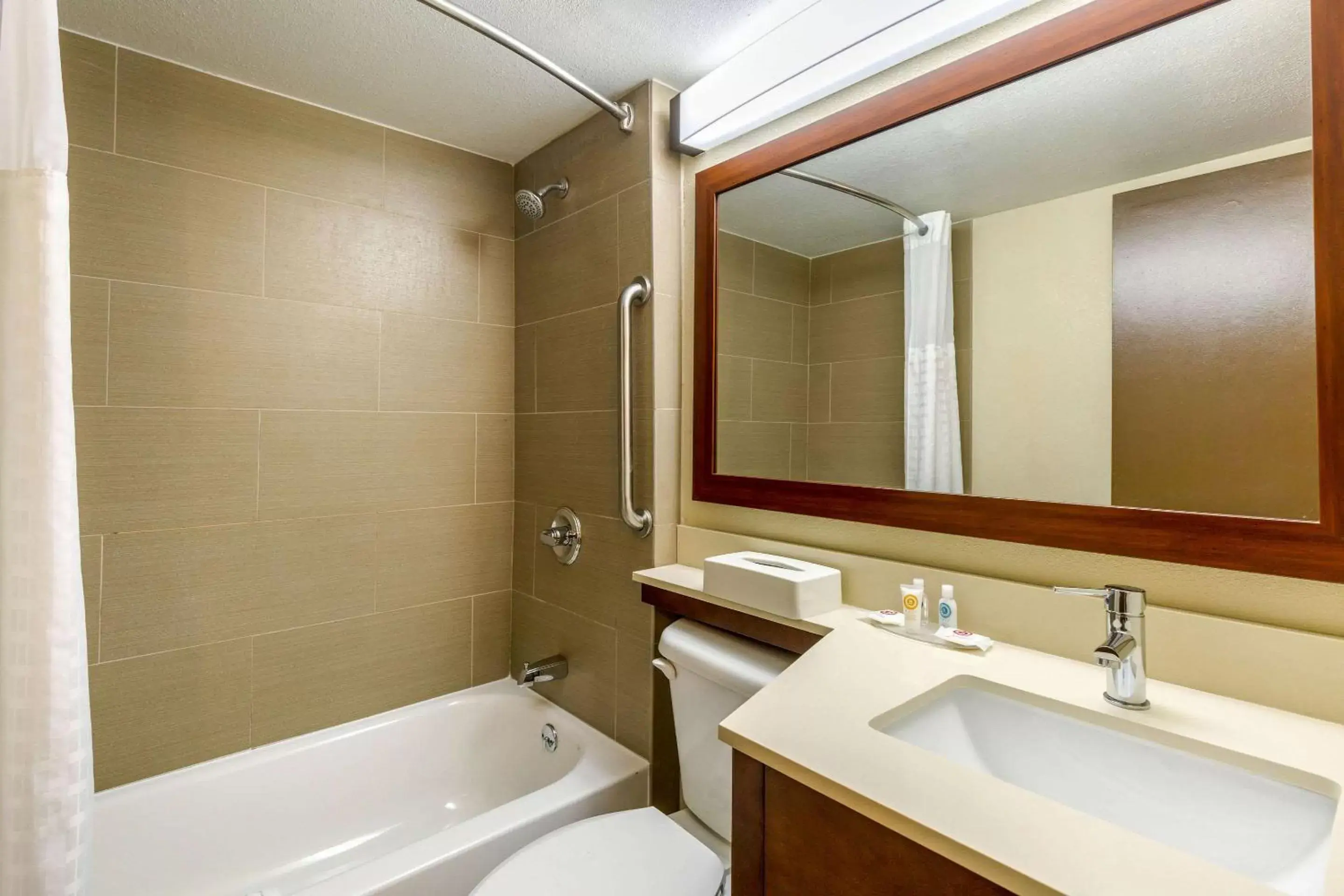 Bathroom in Comfort Inn Red Horse Frederick