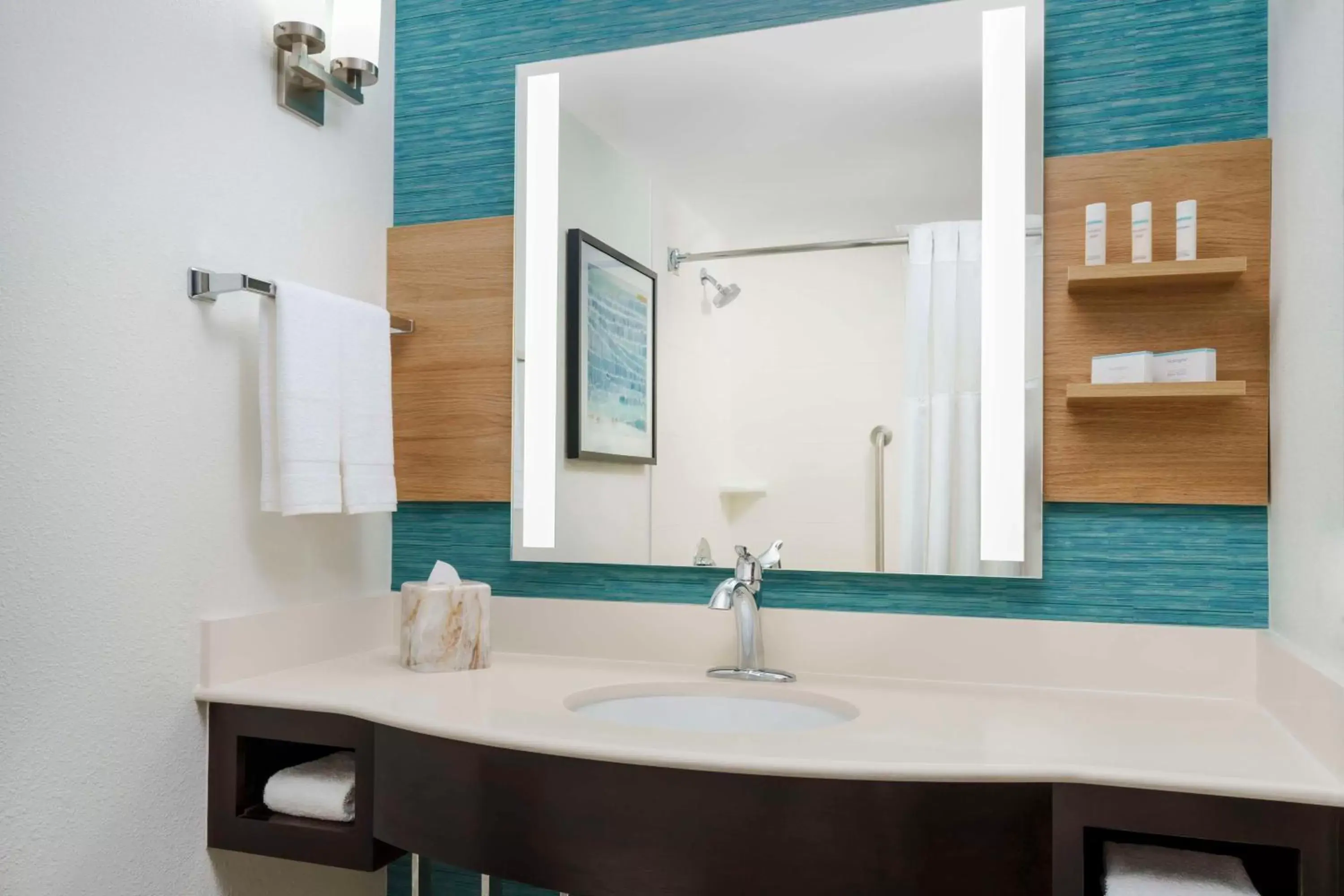 Bathroom in Hilton Garden Inn Orlando at SeaWorld
