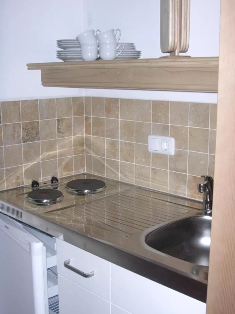 Kitchen or kitchenette in Malernhof