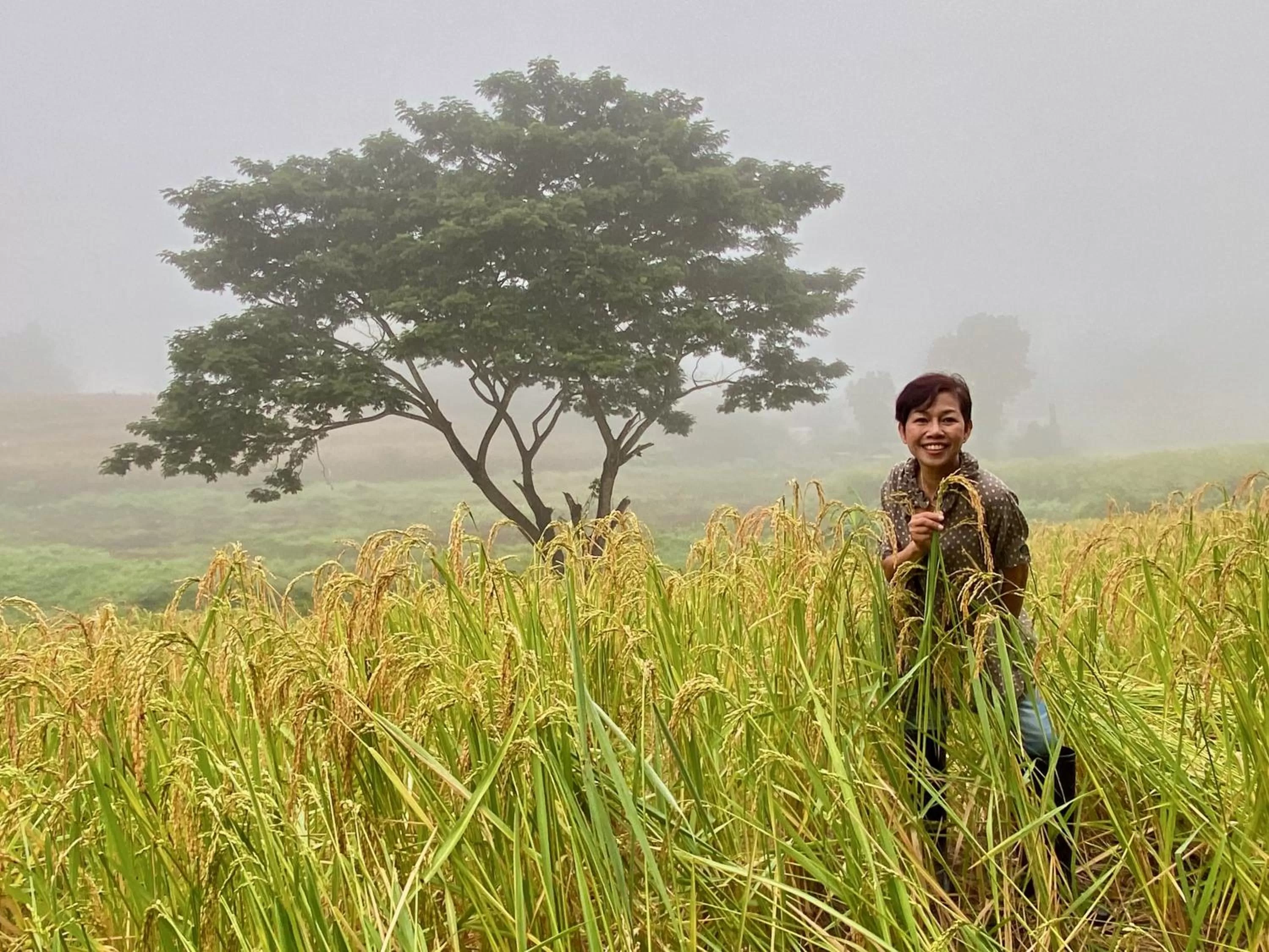 Neighbourhood in Pura Vida Pai Resort