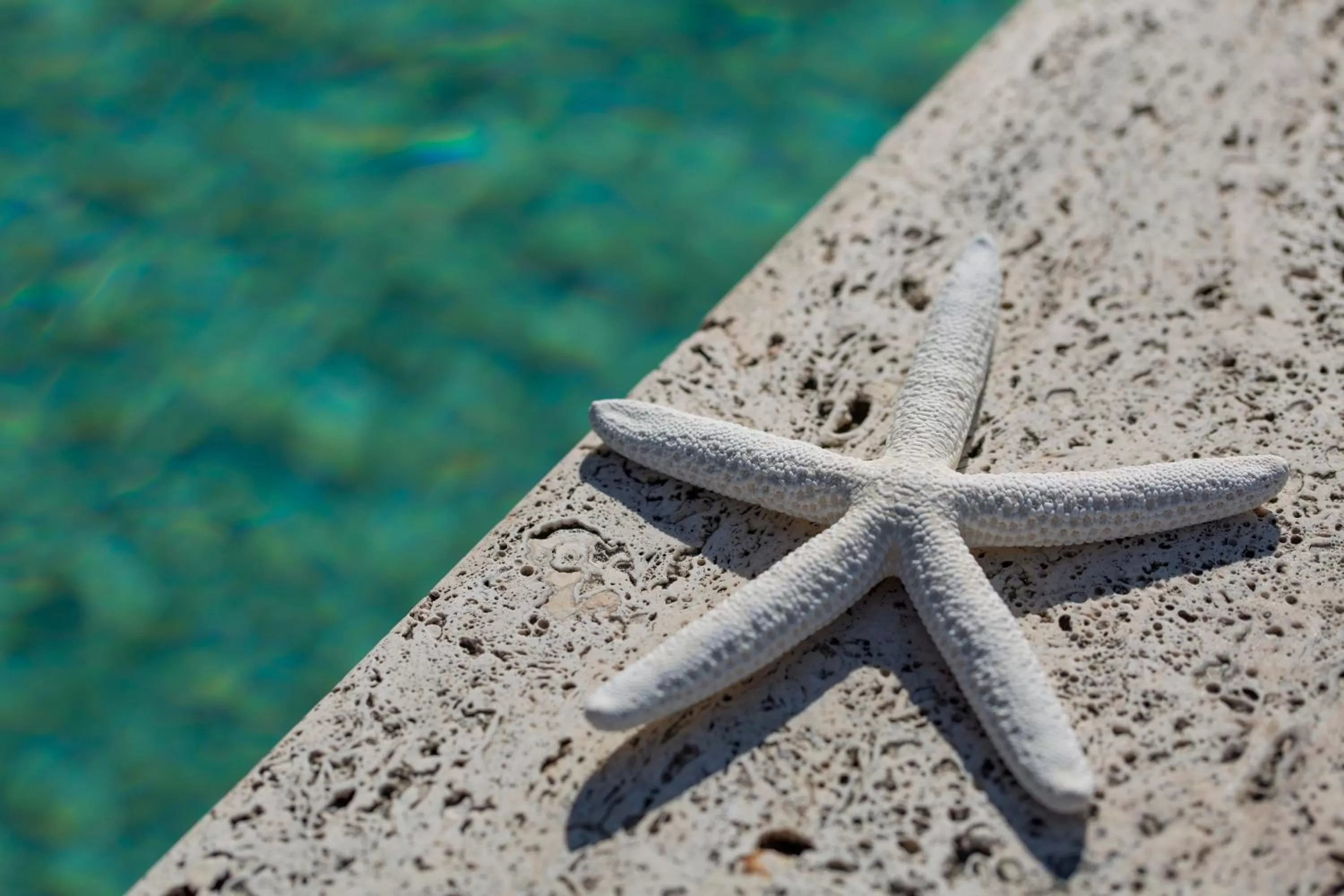 Hot Tub, Other Animals in Nero D'Avorio Aparthotel & SPA