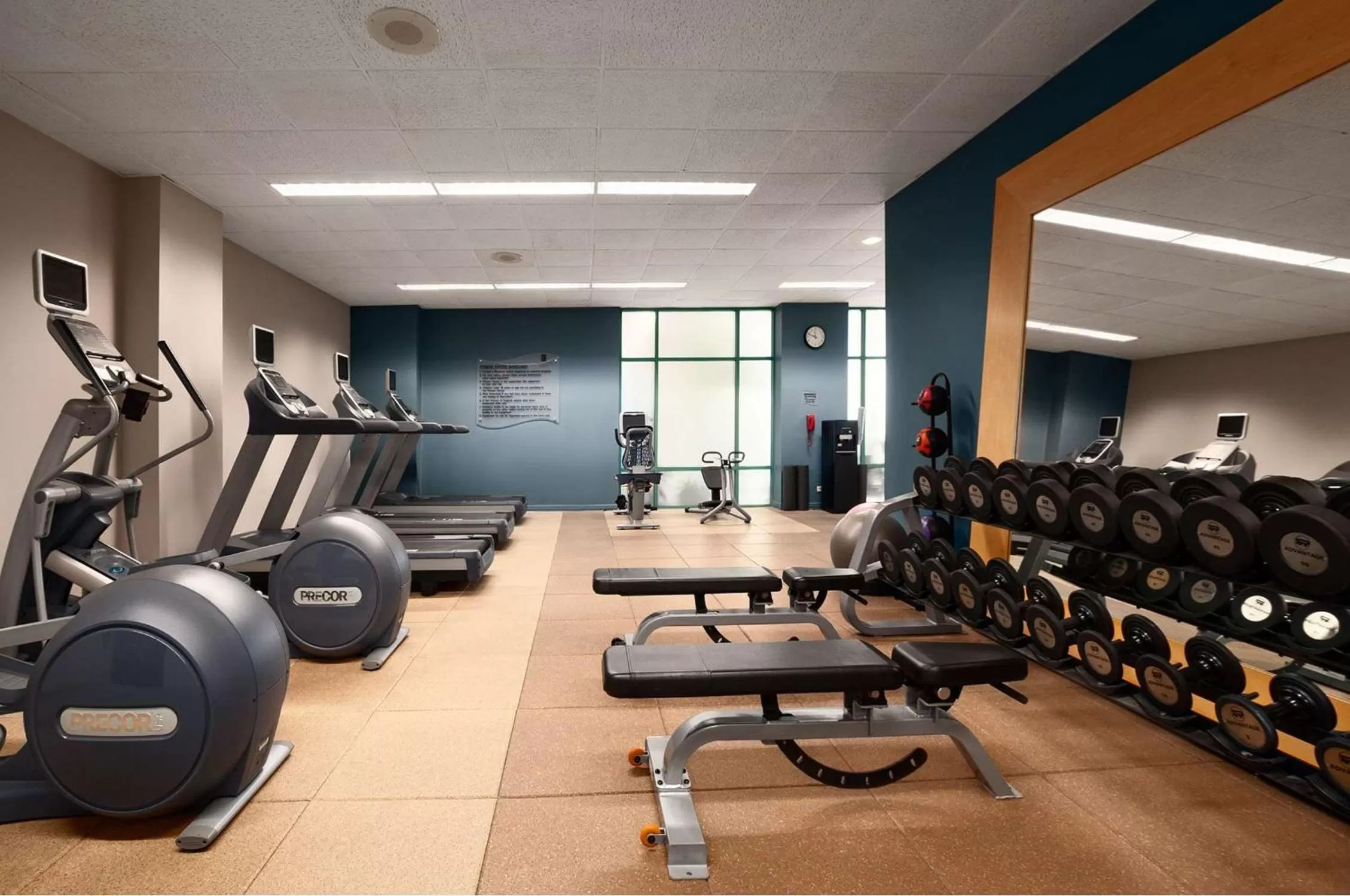 Fitness centre/facilities in Embassy Suites by Hilton Chicago Lombard