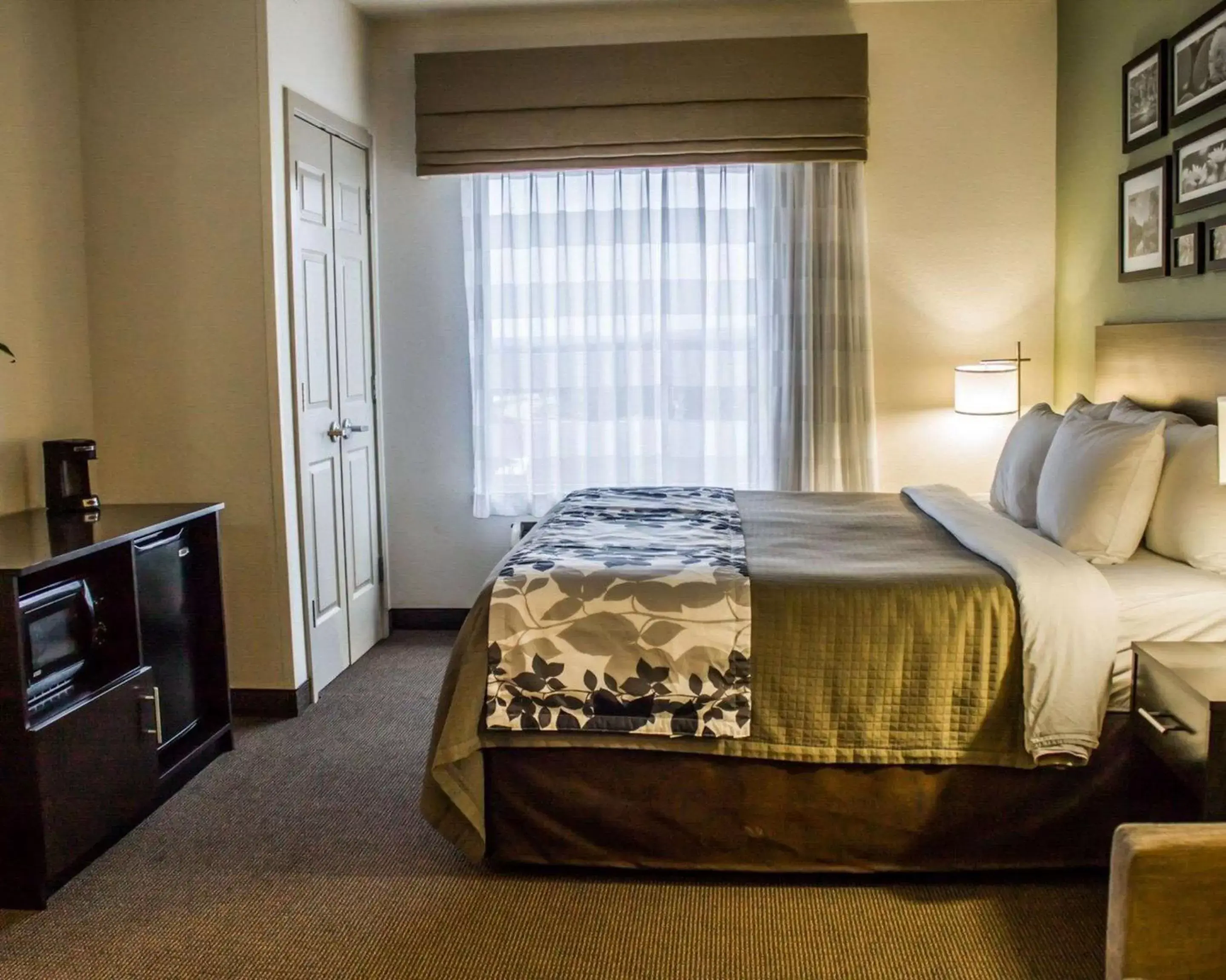 Photo of the whole room, Bed in Sleep Inn & Suites Harrisburg -Eisenhower Boulevard