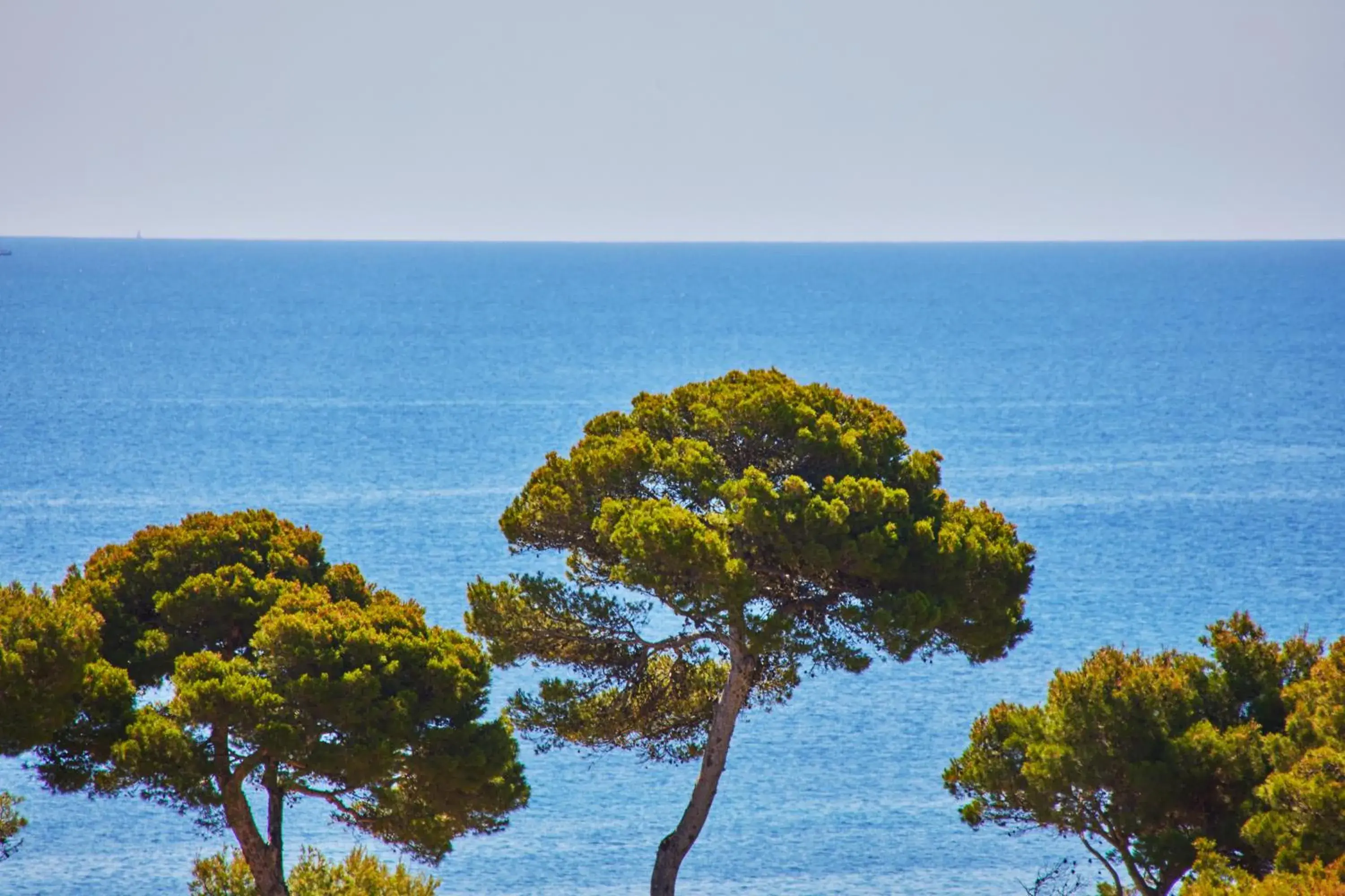 Day, Sea View in Petit Hotel Ses Rotges