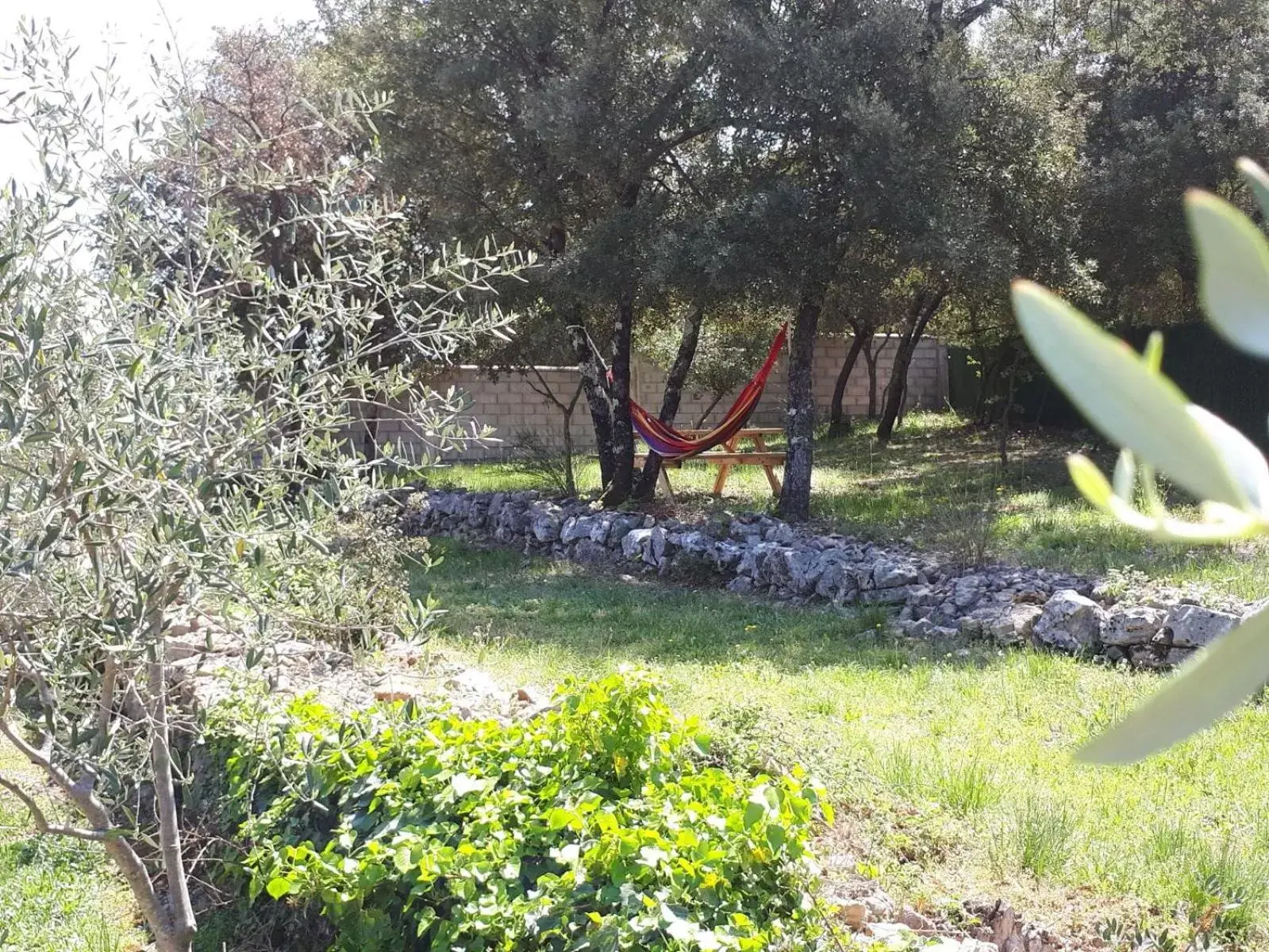 Garden in Villa Catharina