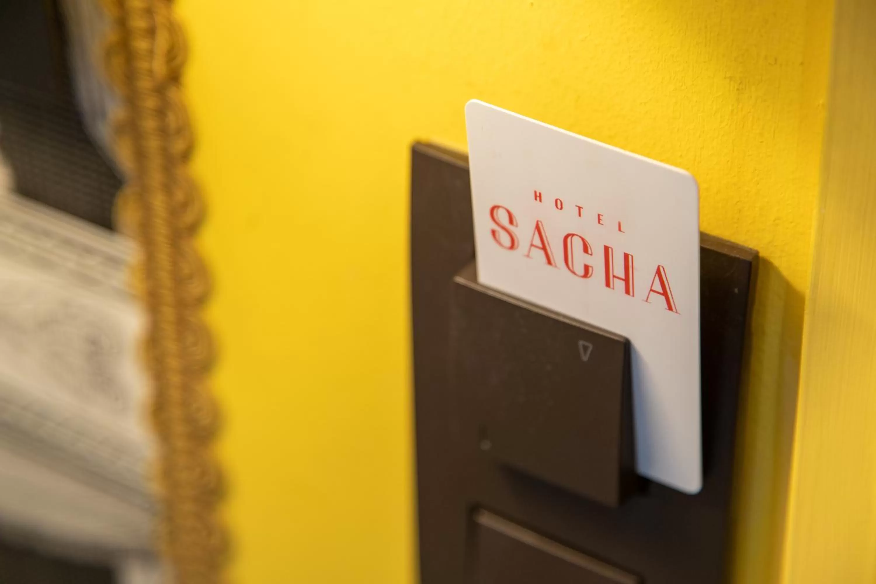 Decorative detail in Hotel Sacha