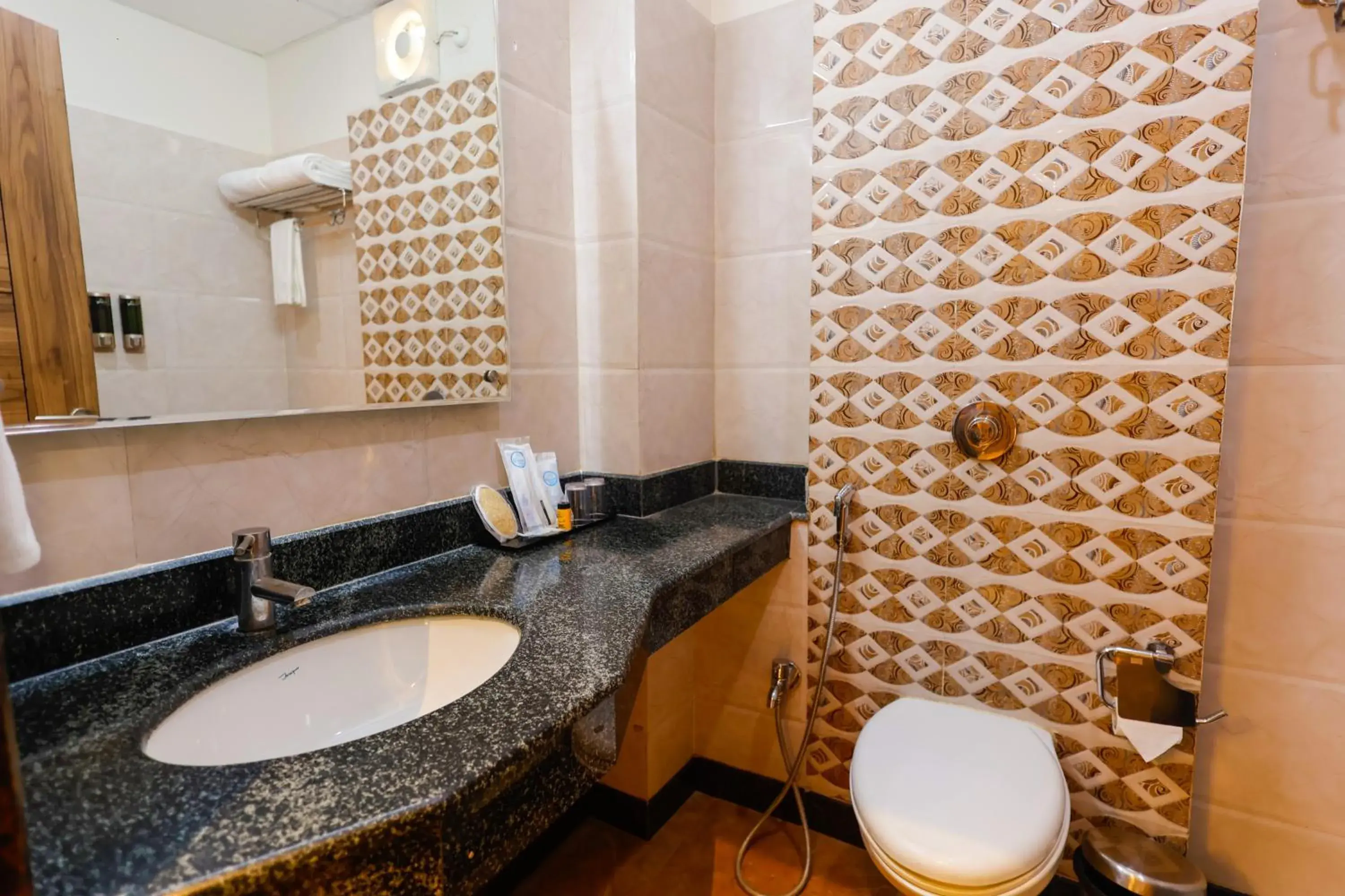 Bathroom in Hotel Dolphin International