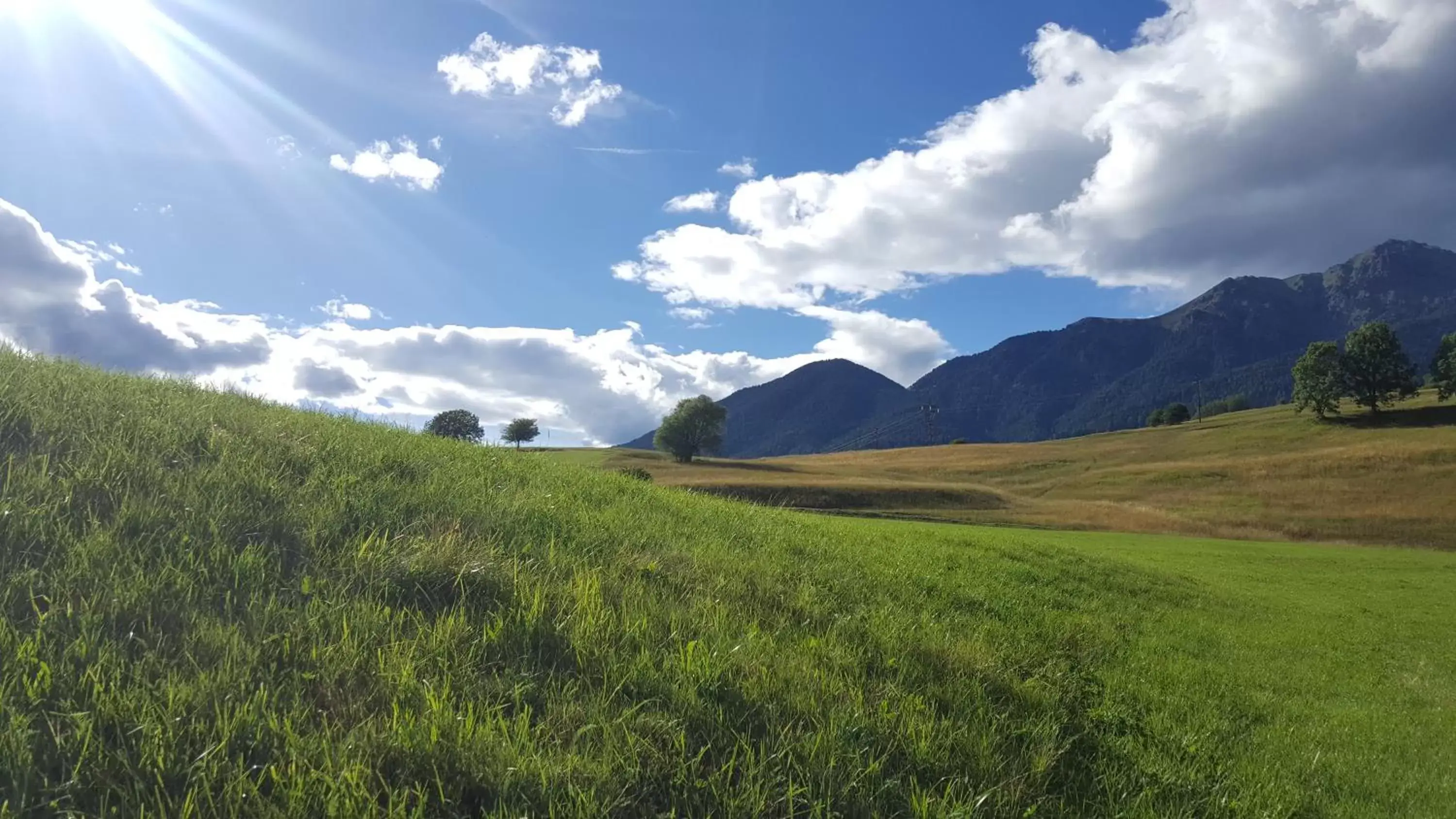 Summer, Natural Landscape in Hotel La Stua