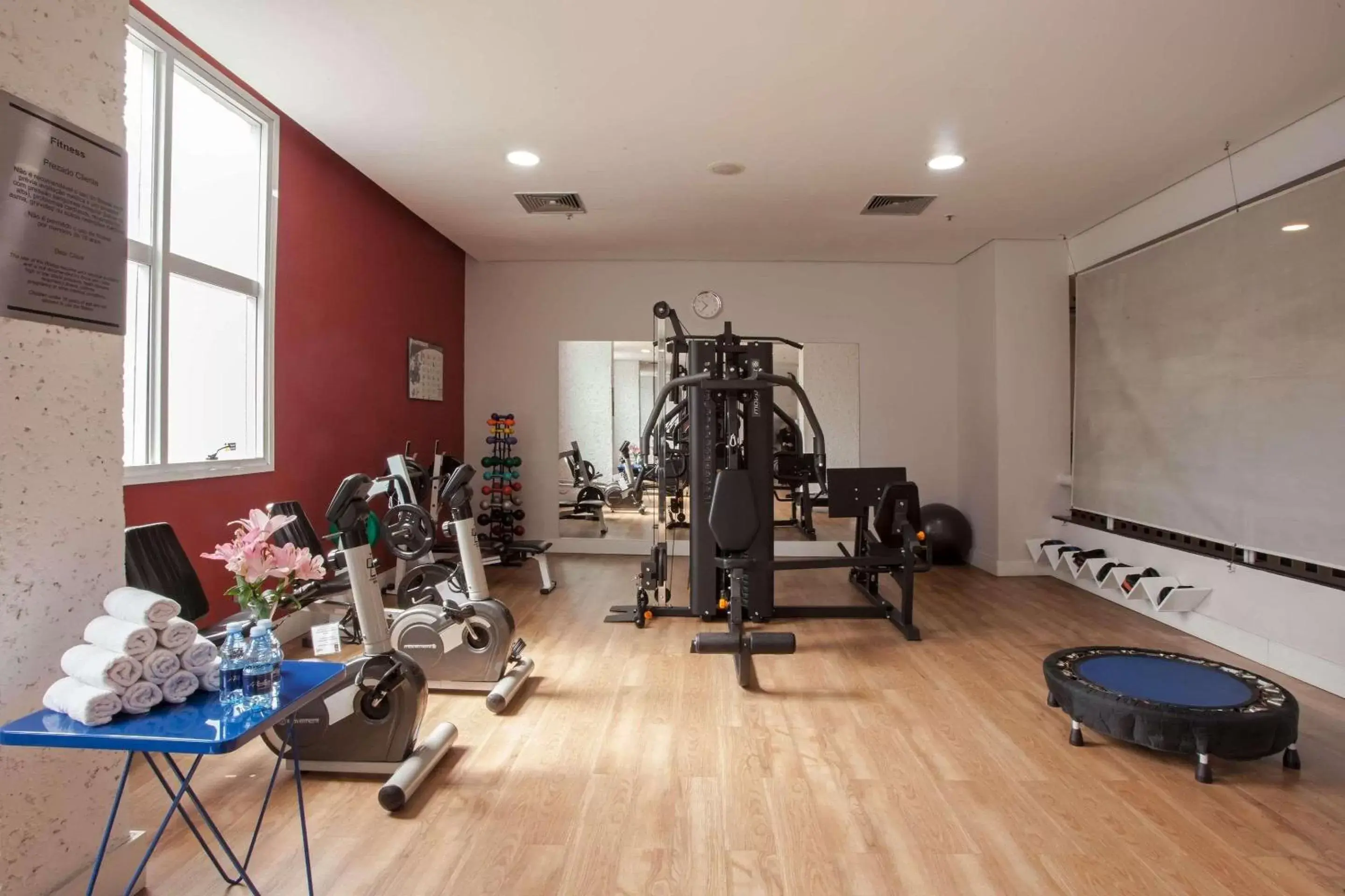 Fitness centre/facilities, Fitness Center/Facilities in Radisson Alphaville