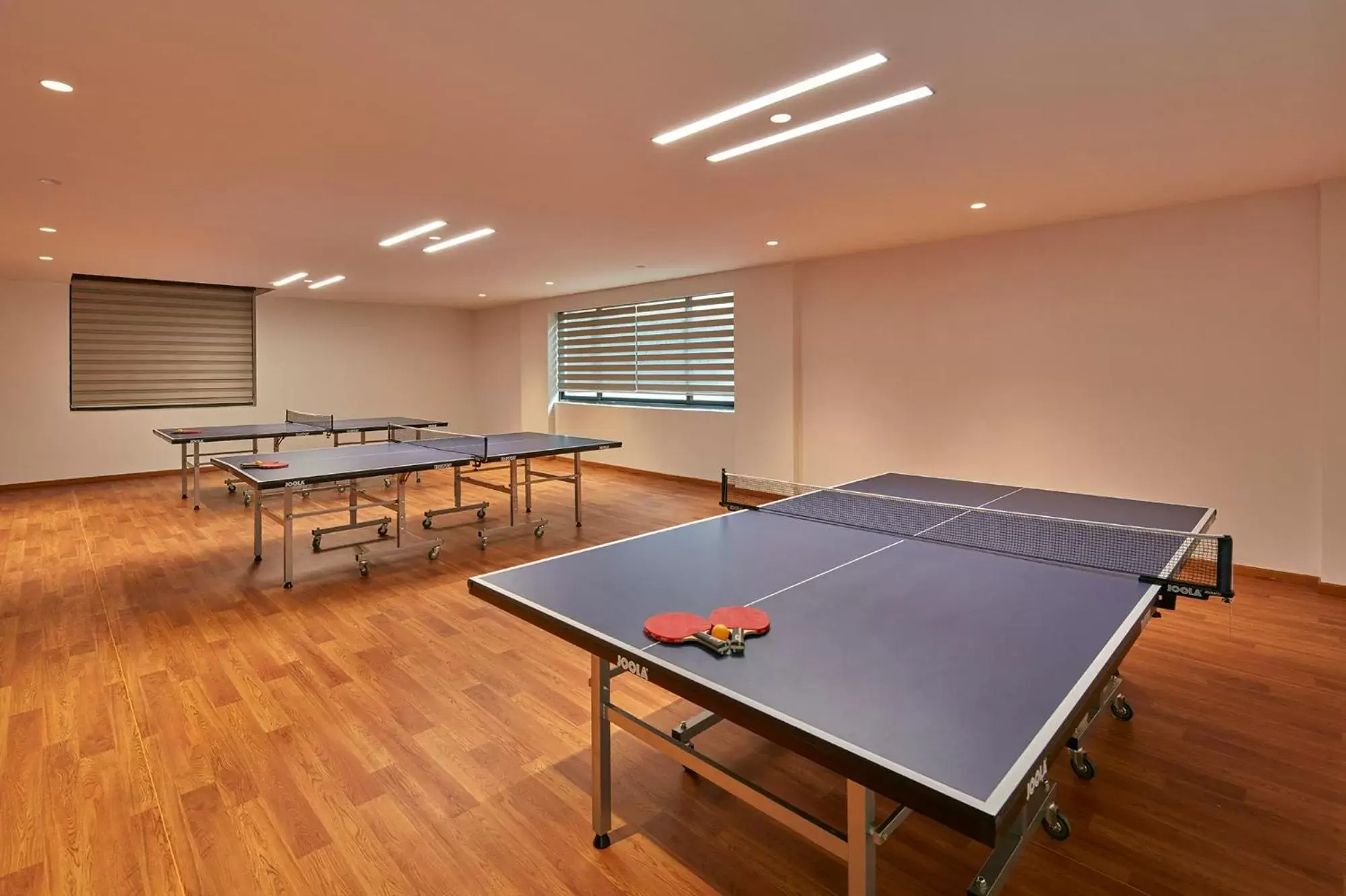 Table Tennis in Signature Club Resort