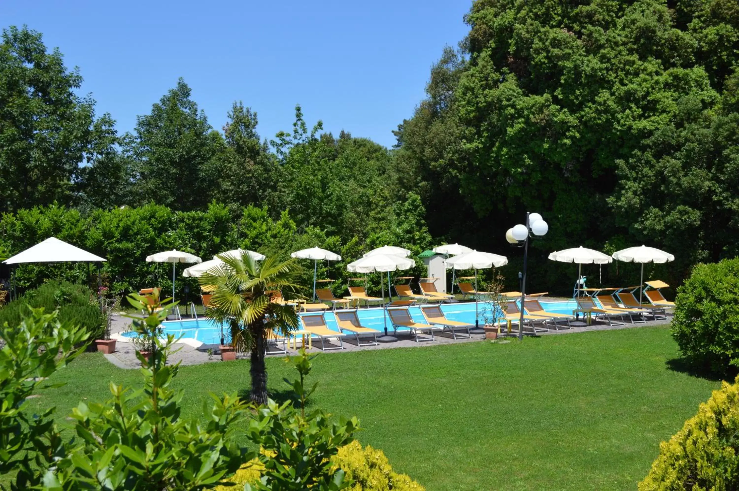 Garden, Swimming Pool in Hotel Monti