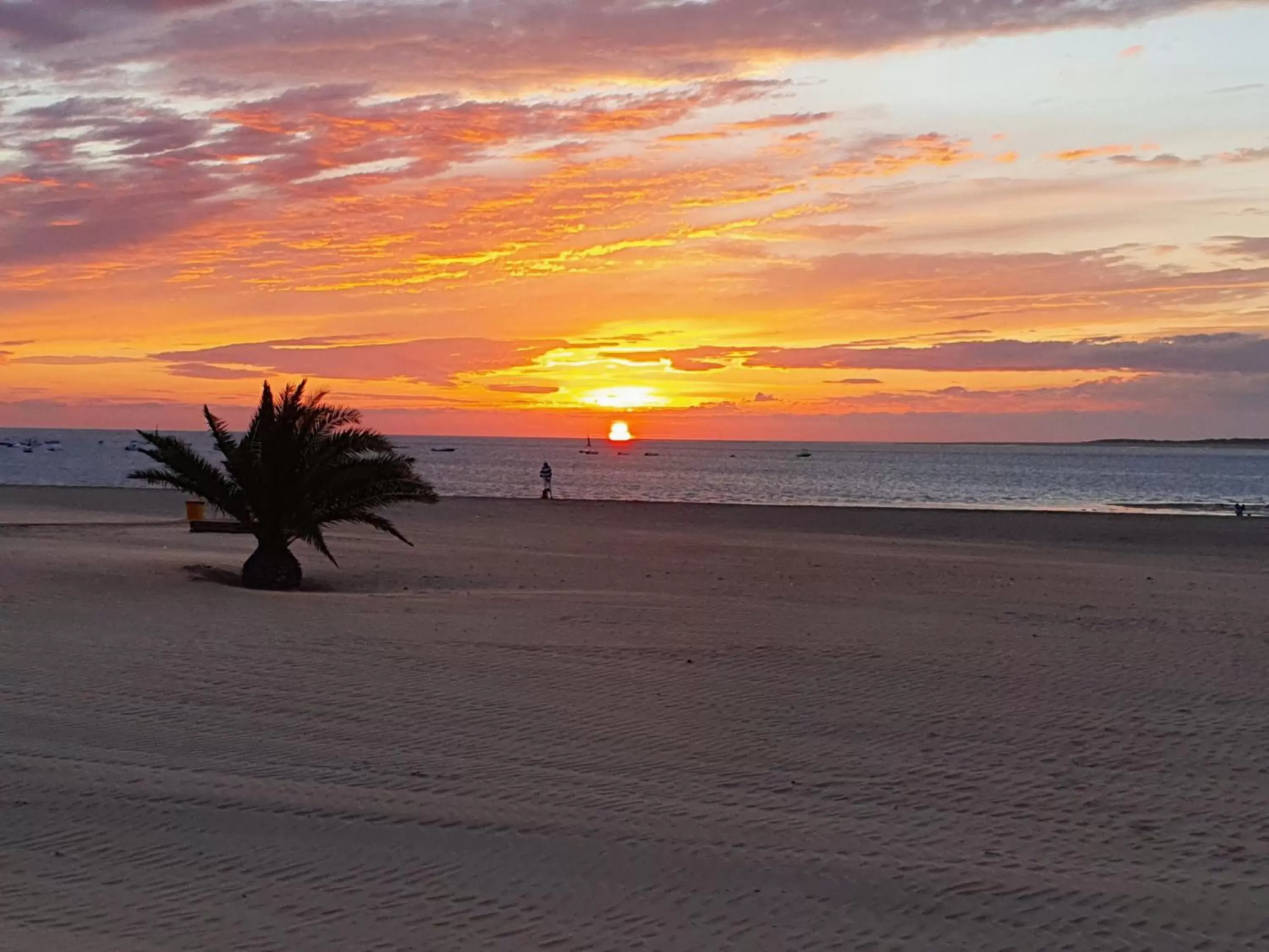 Beach, Sunrise/Sunset in Albariza Hotel Boutique