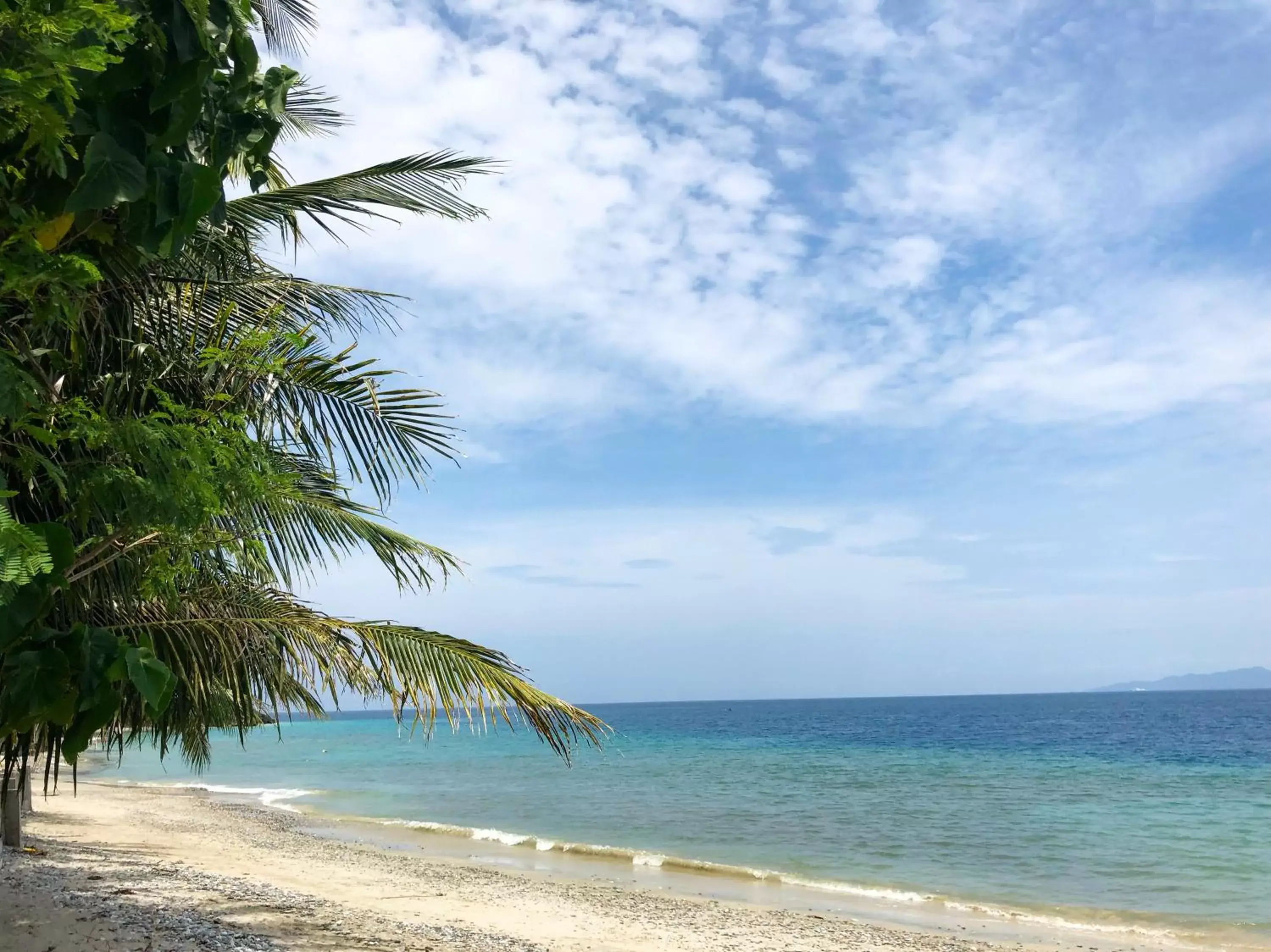 Natural landscape, Beach in Amami Beach Resort