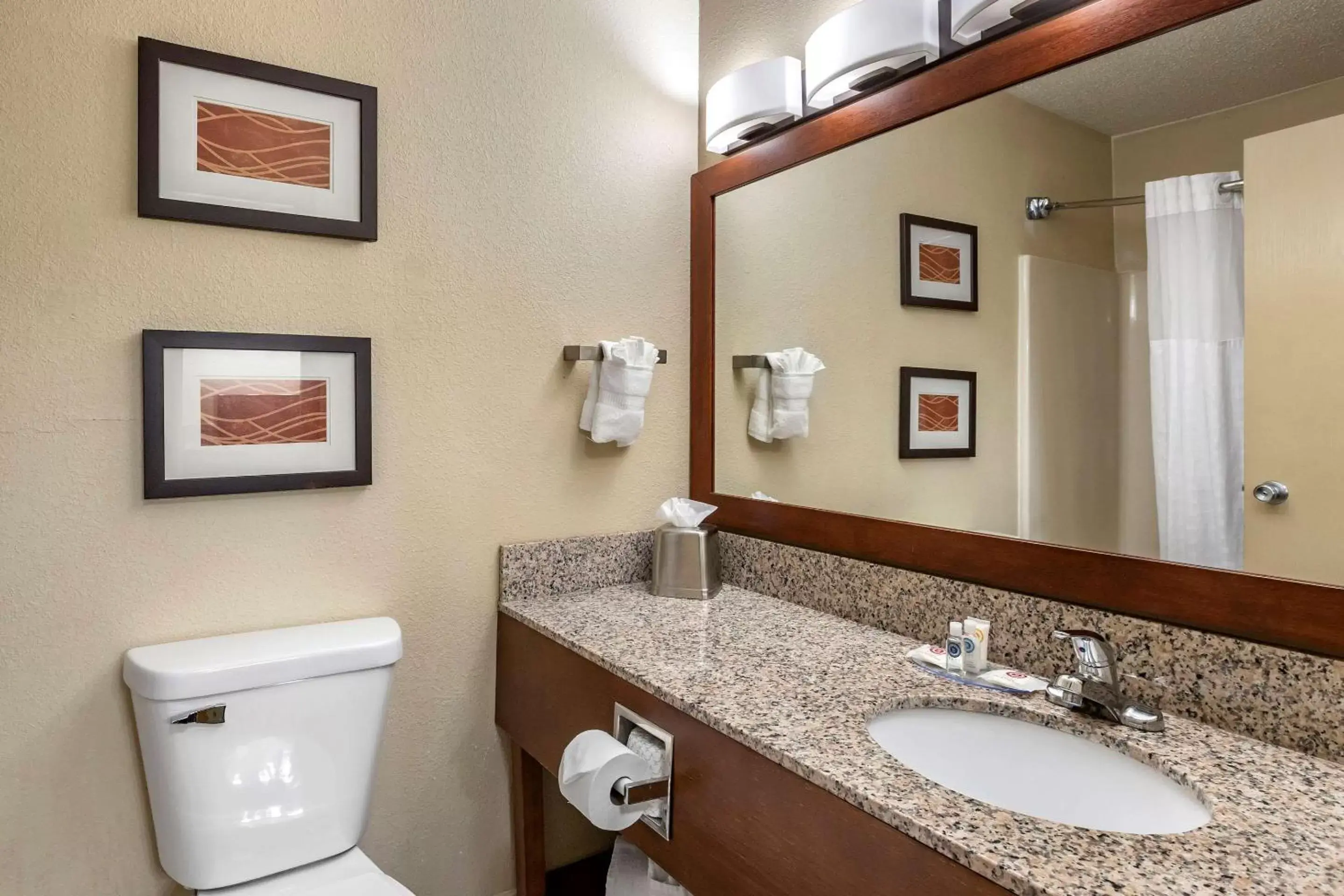 Photo of the whole room, Bathroom in Comfort Inn Moline - Quad Cities