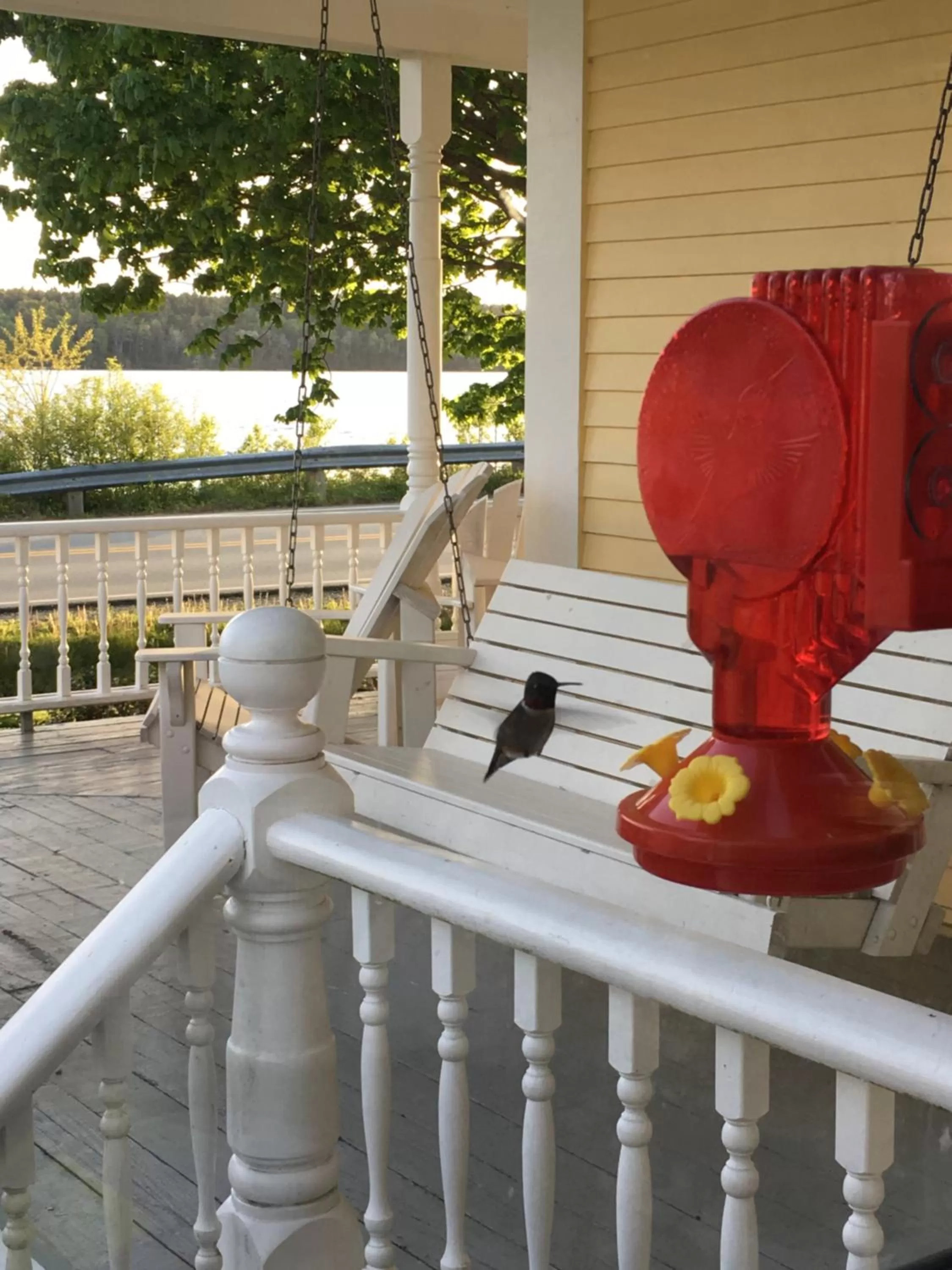 Bird's eye view in Toba's Bed & Breakfast