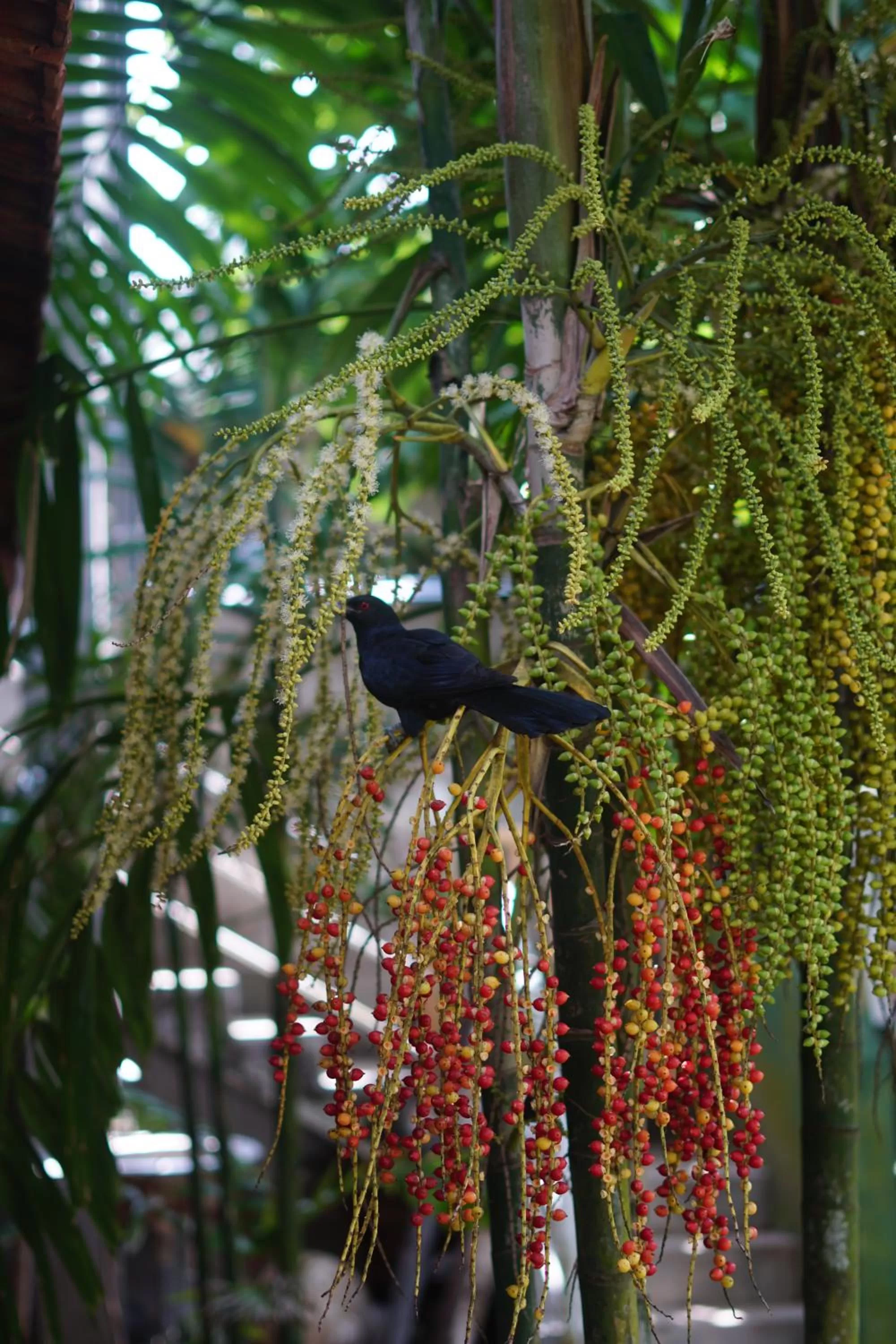 Turtle Bay Beach Resort