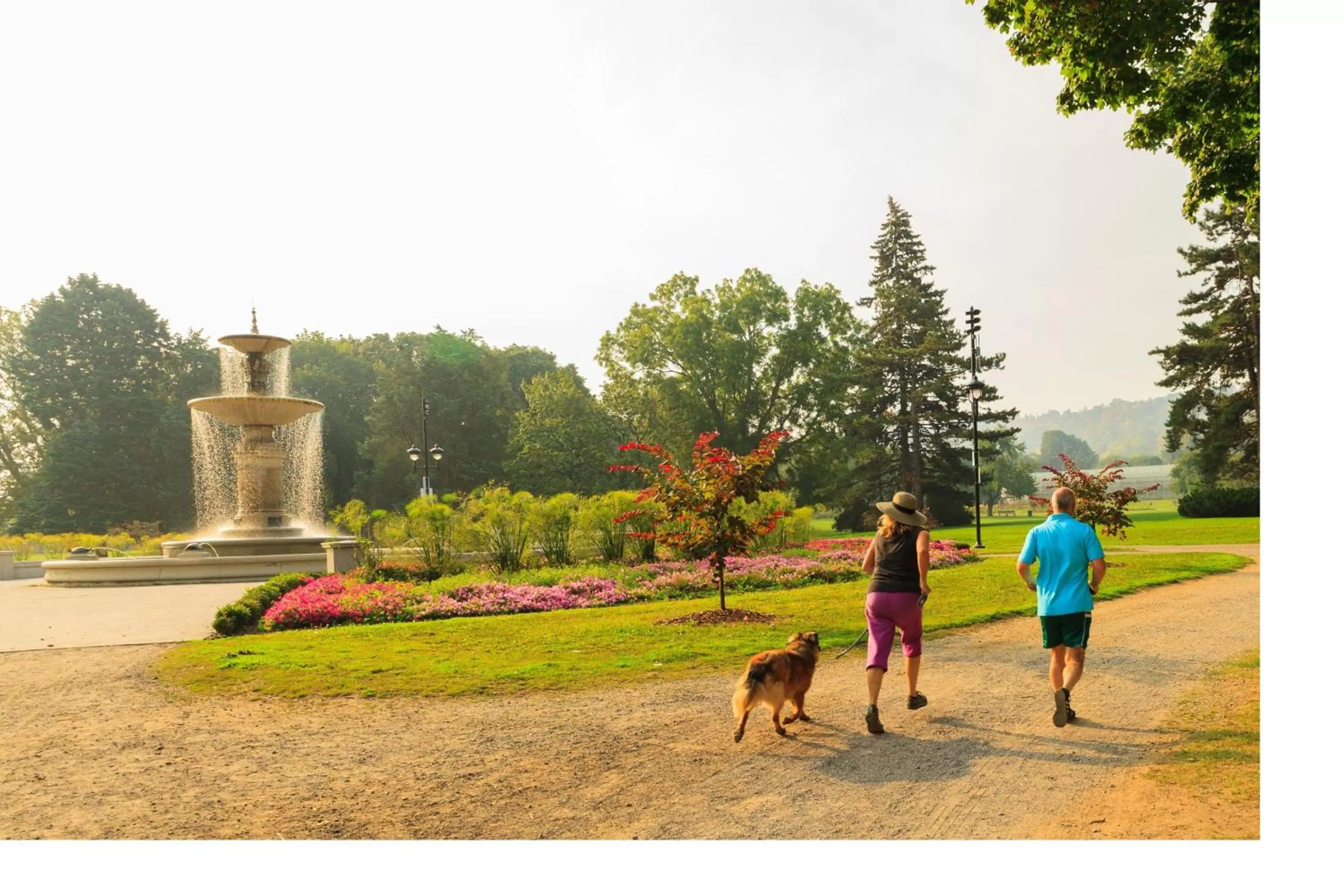 Area and facilities in Staybridge Suites Hamilton - Downtown by IHG