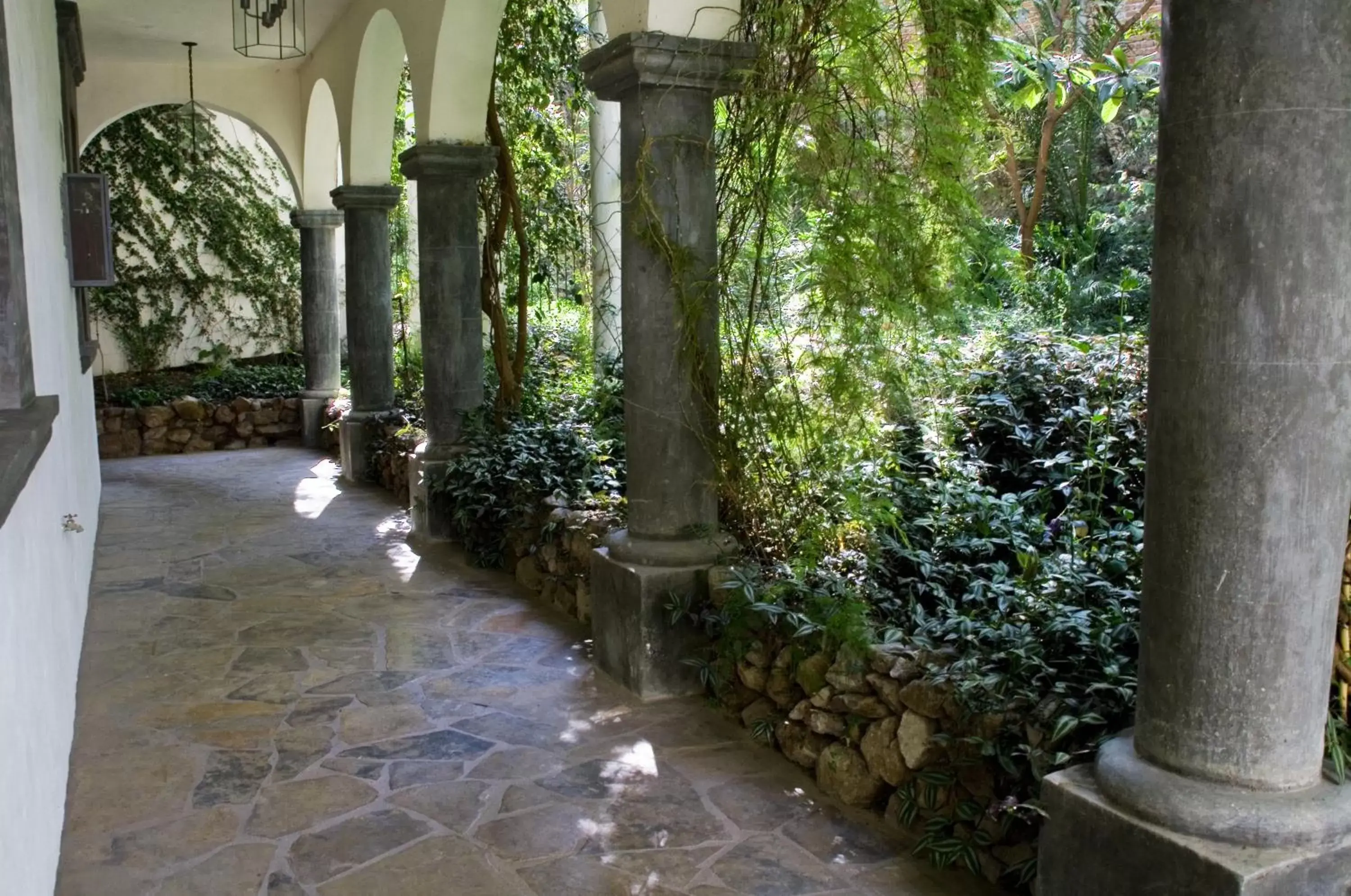 Patio in Casa Mision de San Miguel