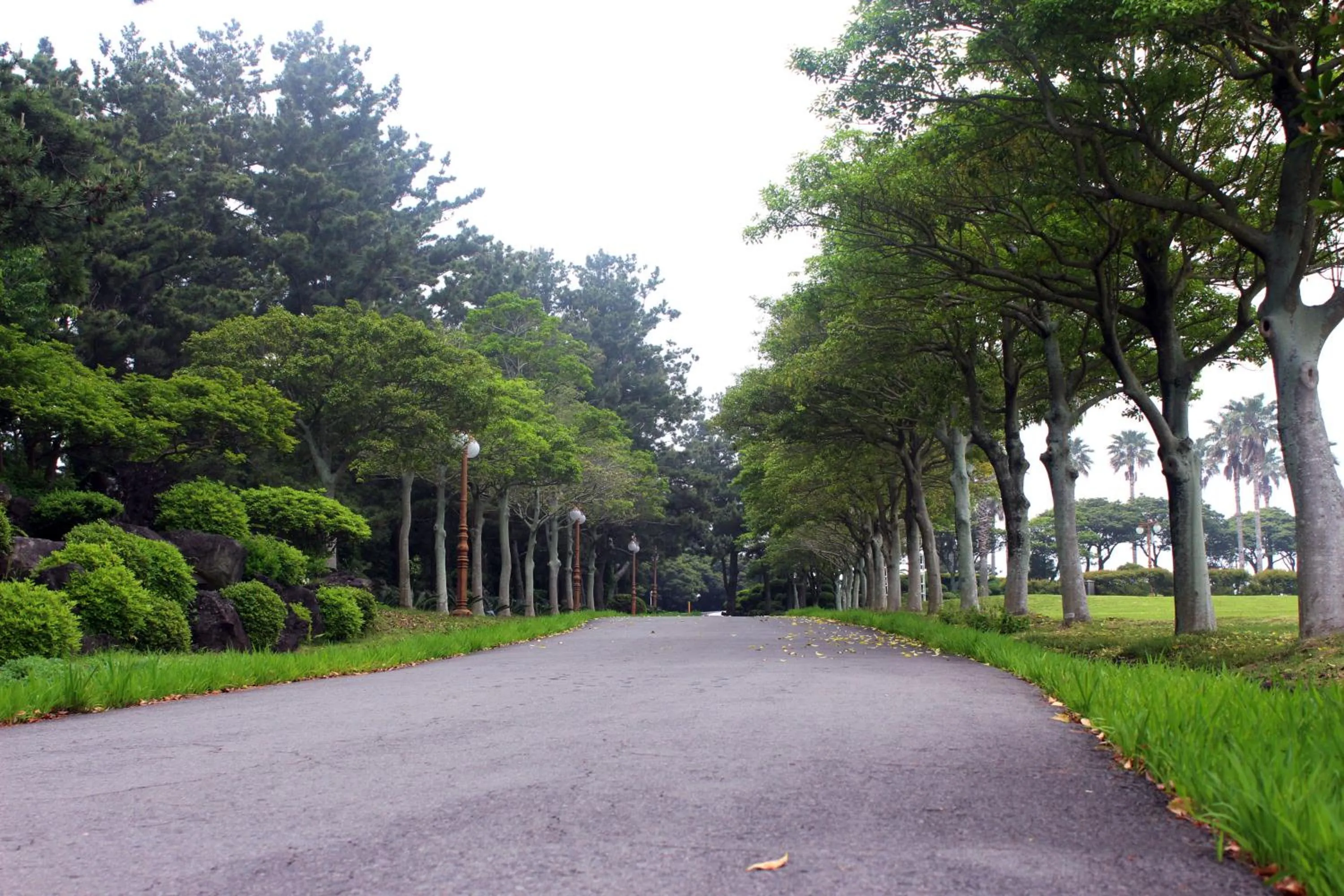 Entertainment in Seogwipo KAL Hotel