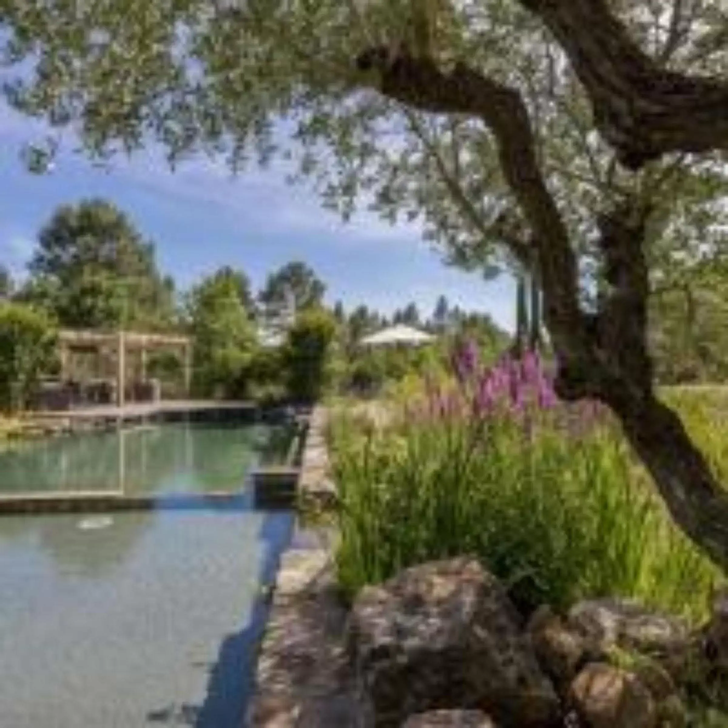 Garden in Le Mas de Baume