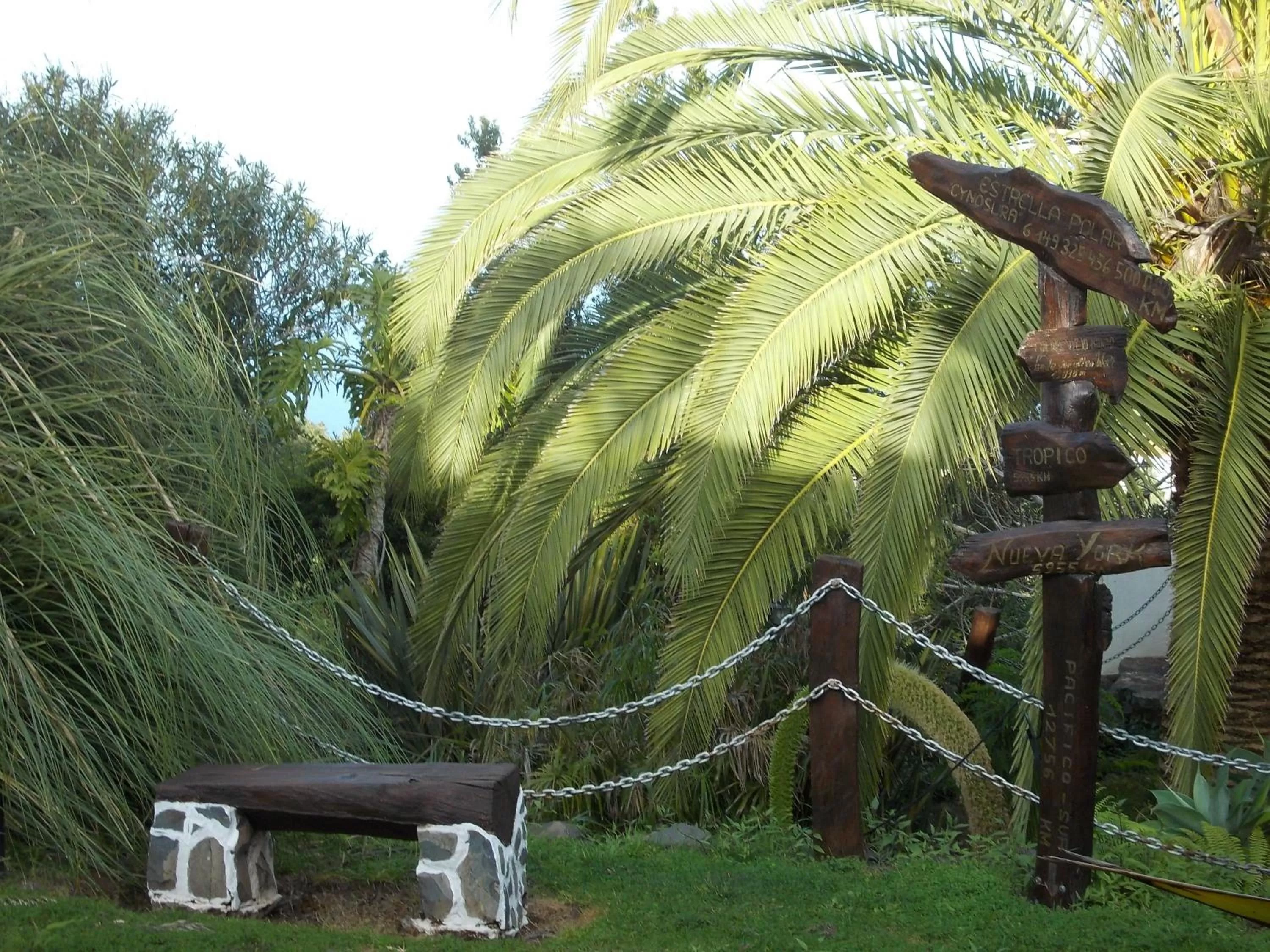 Garden in Hotel La Palma Romántica