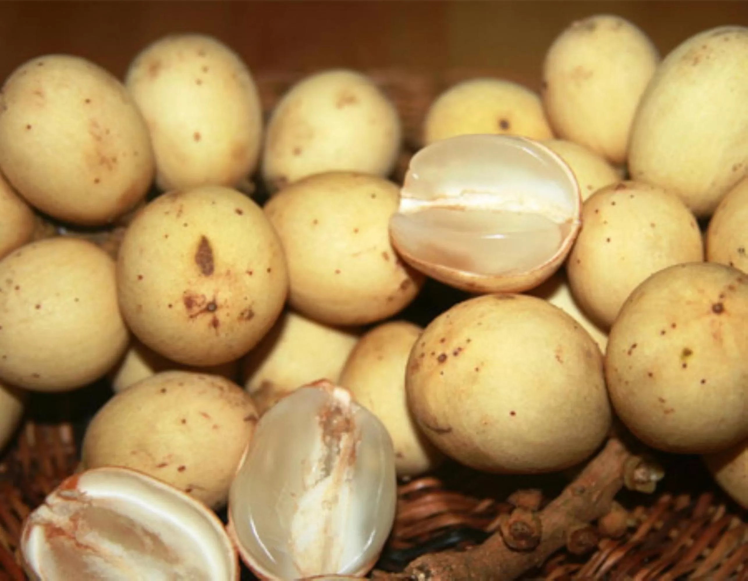 Other in GV Hotel - Camiguin