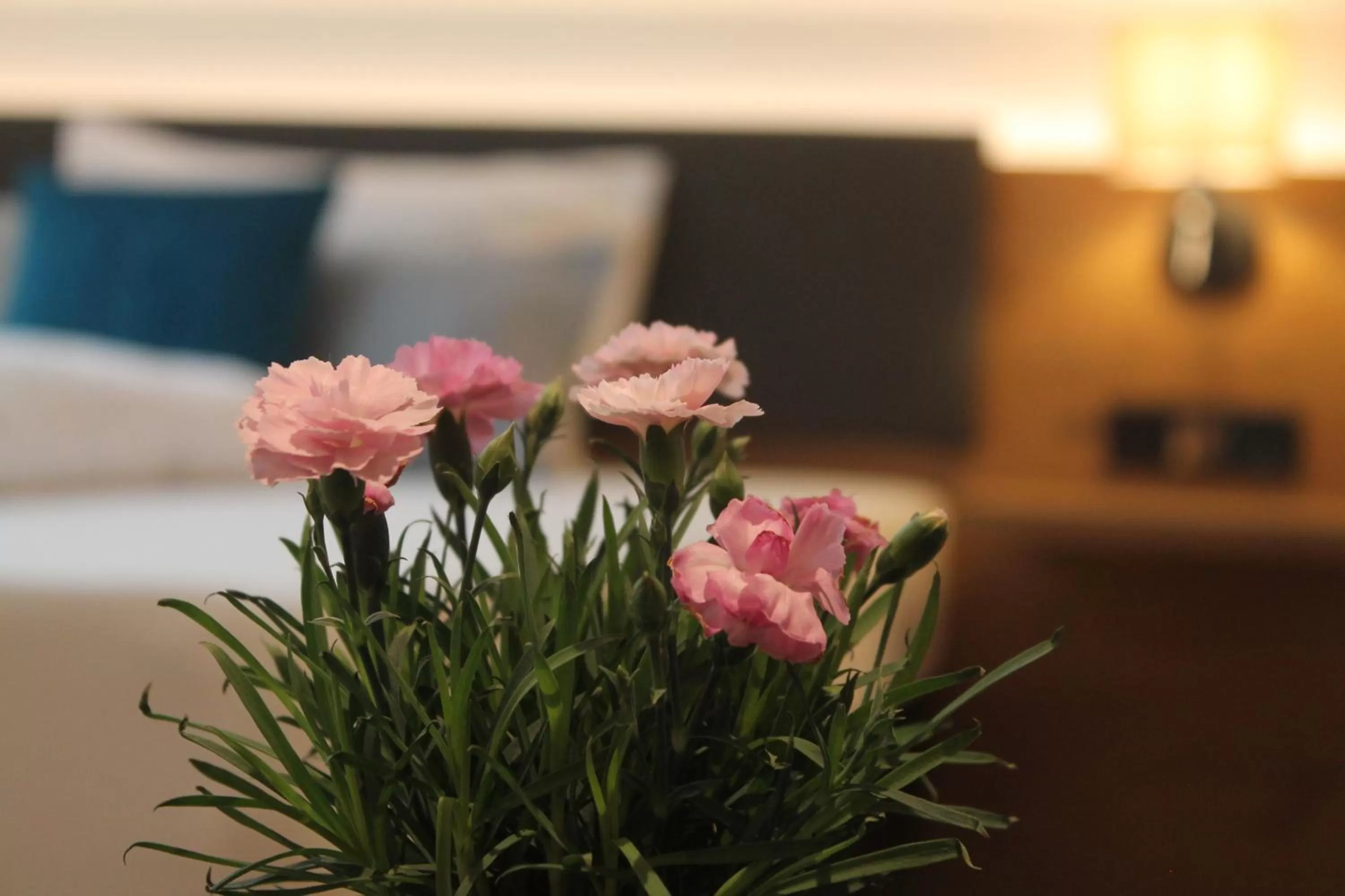 Photo of the whole room, Bed in Gasthaus Steidl