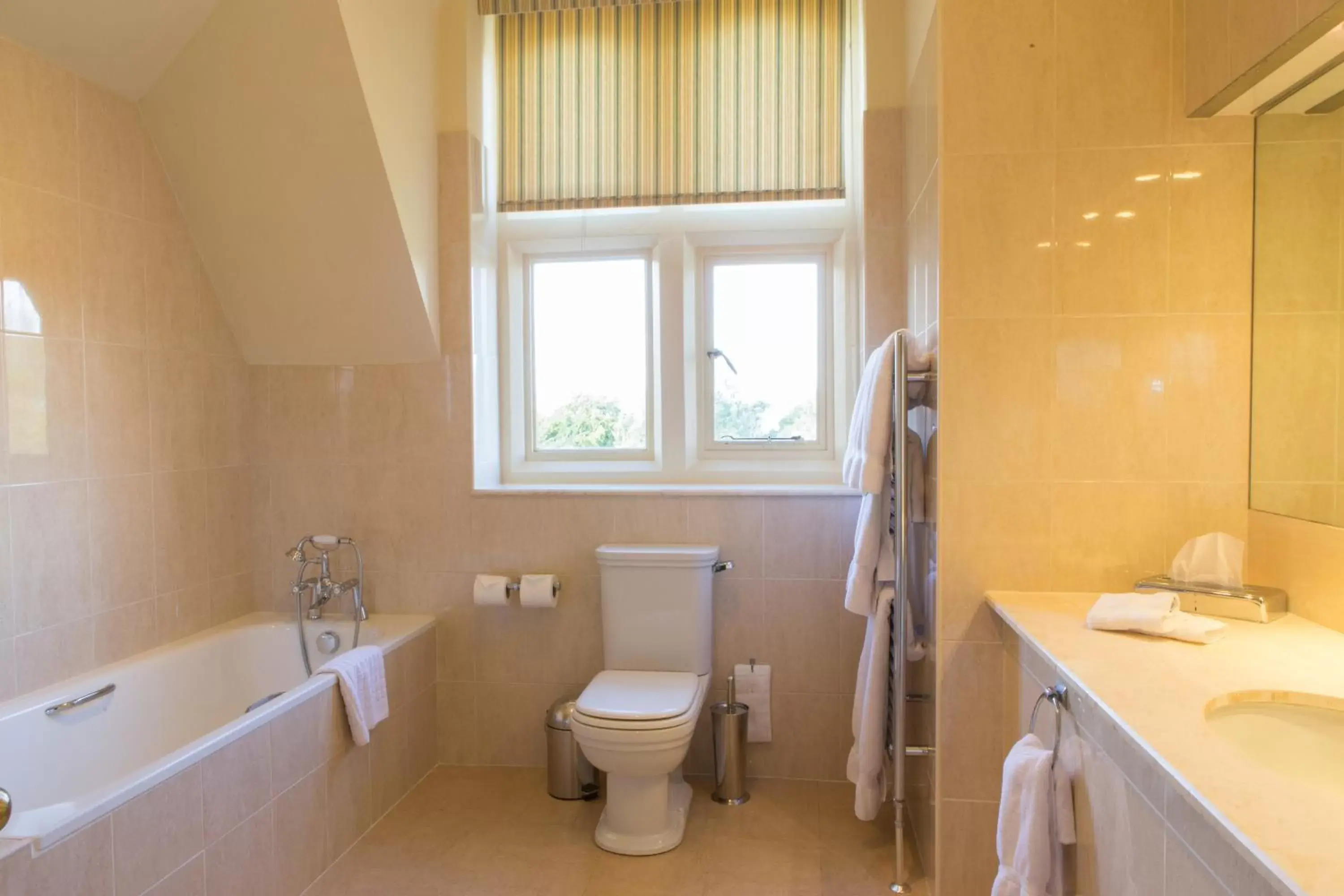 Toilet, Bathroom in Horsted Place Hotel
