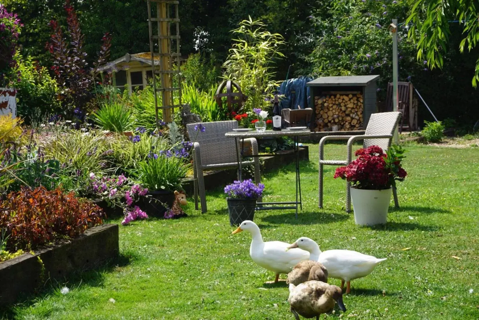 Garden in West View Lodge