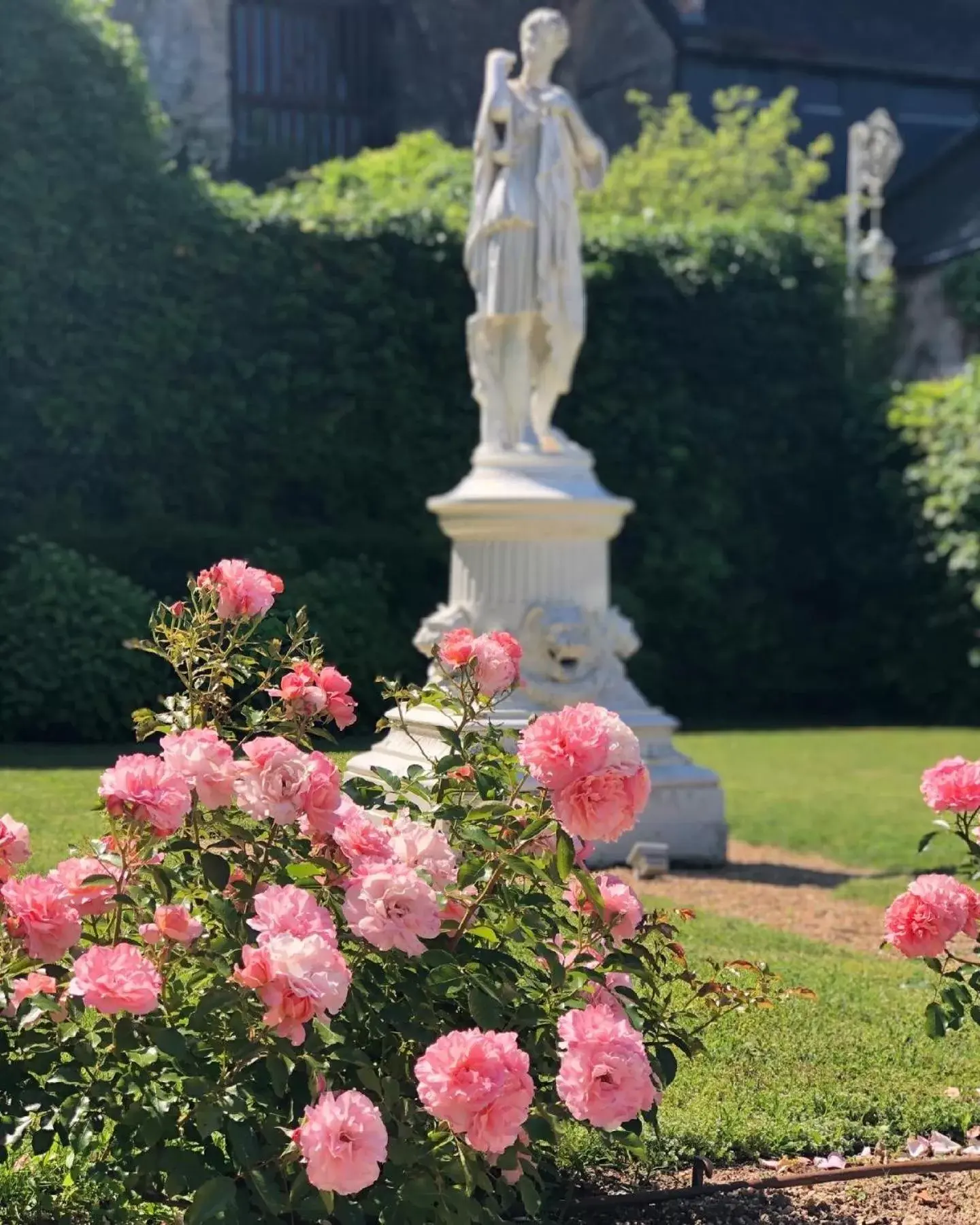 Garden in Hôtel Le Choiseul