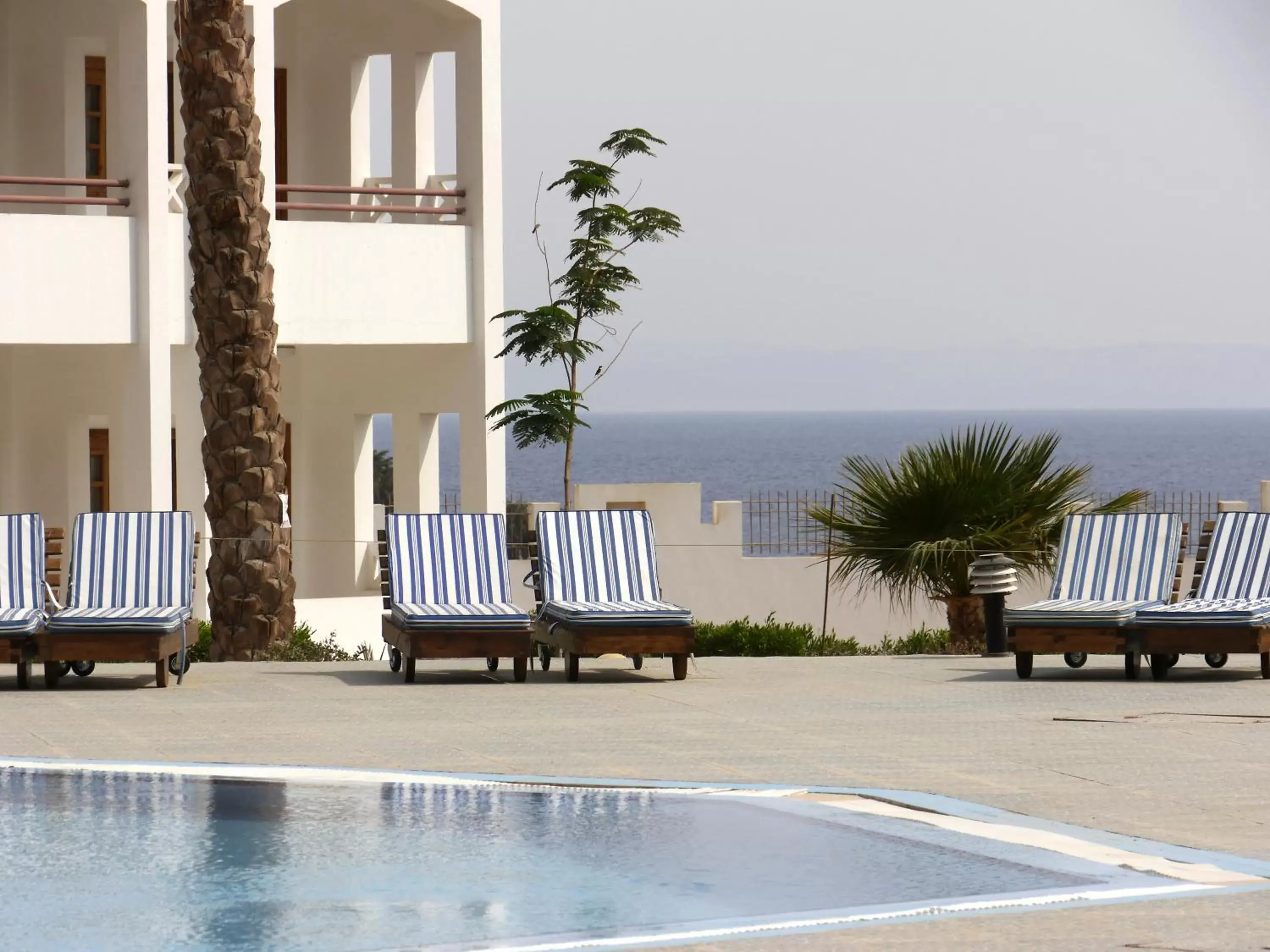 Area and facilities, Swimming Pool in Happy Life Village Dahab