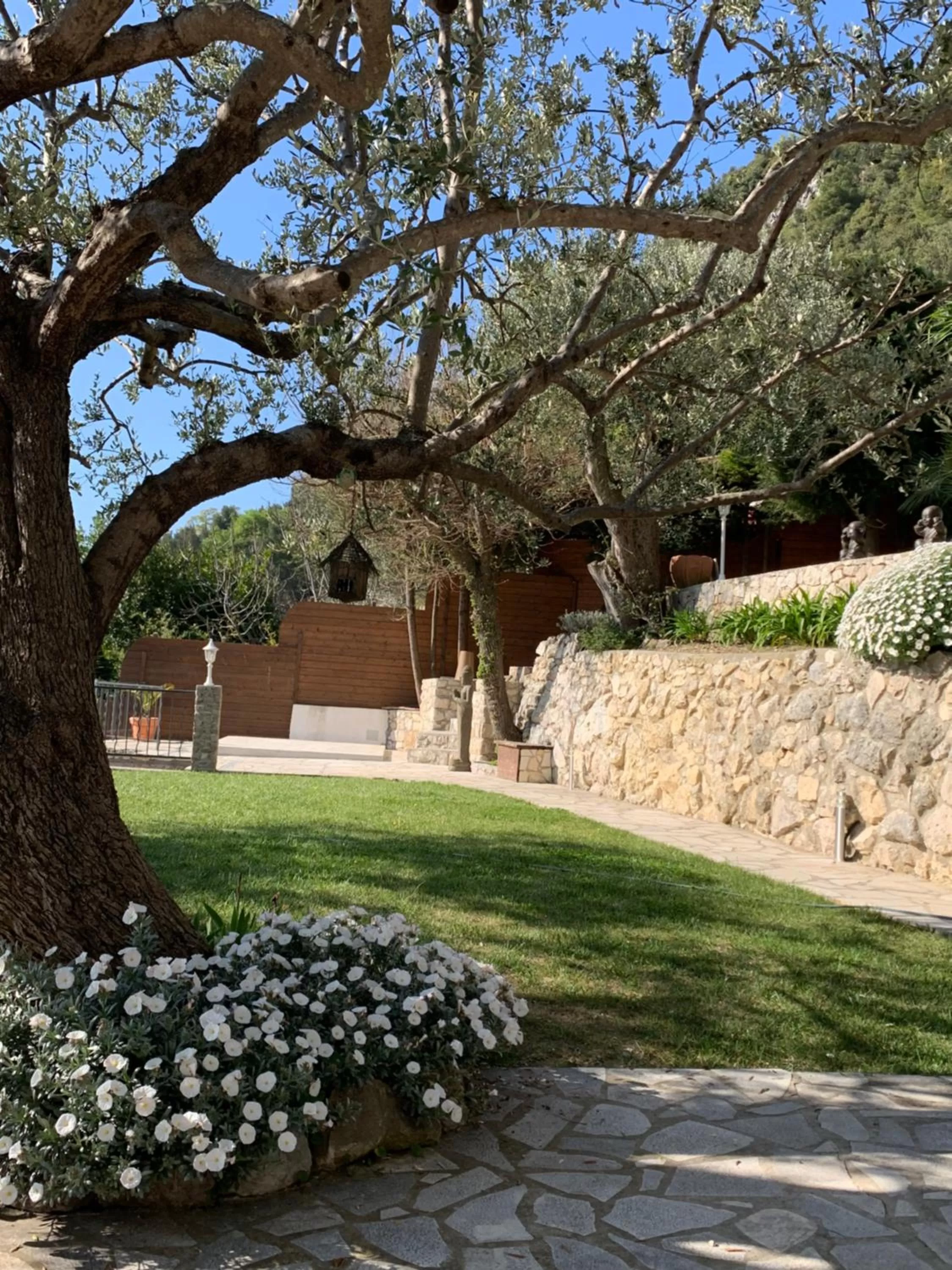 Monte Carlo View and Spa