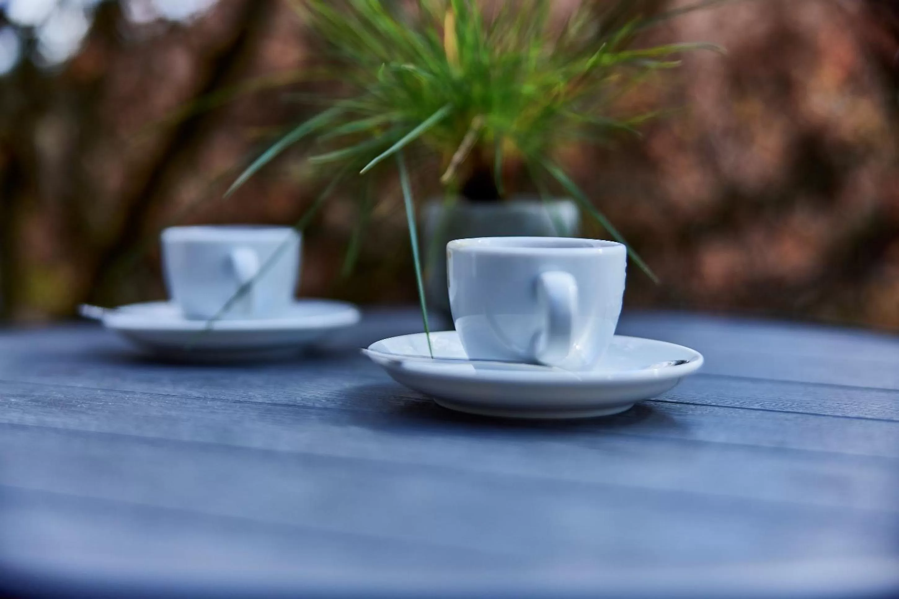 Off site in Schlei Hotel