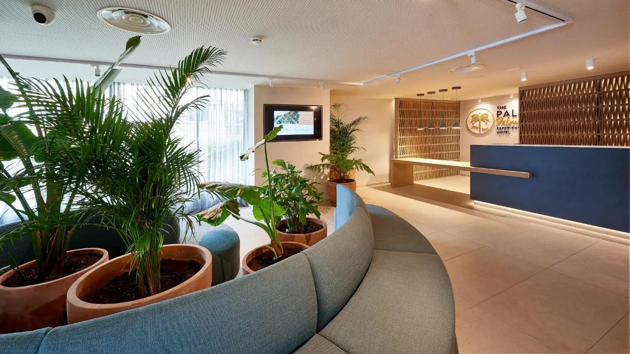 Living room in Palmasol Living room in Palmasol