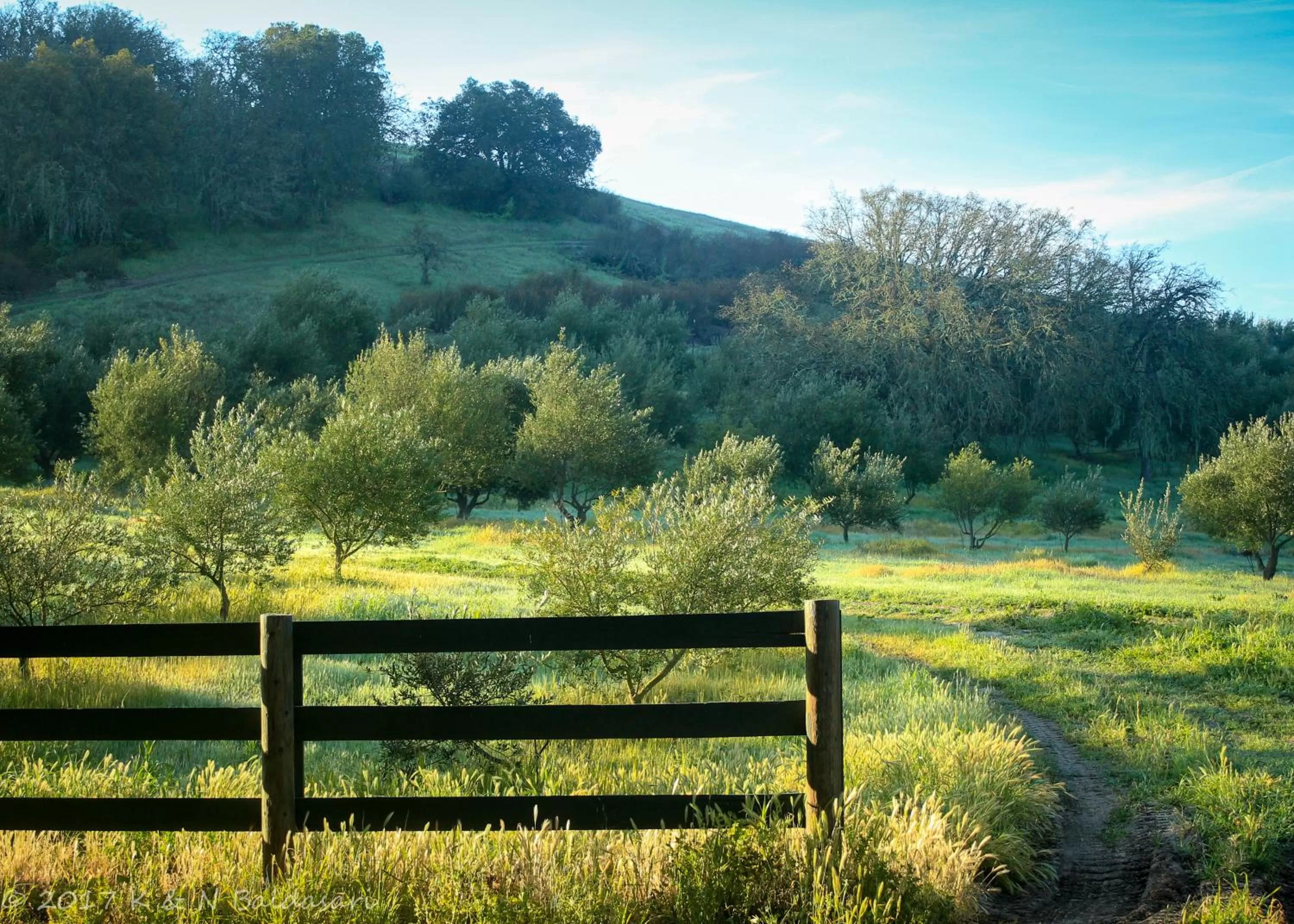 Natural landscape in The Eden House Vineyard