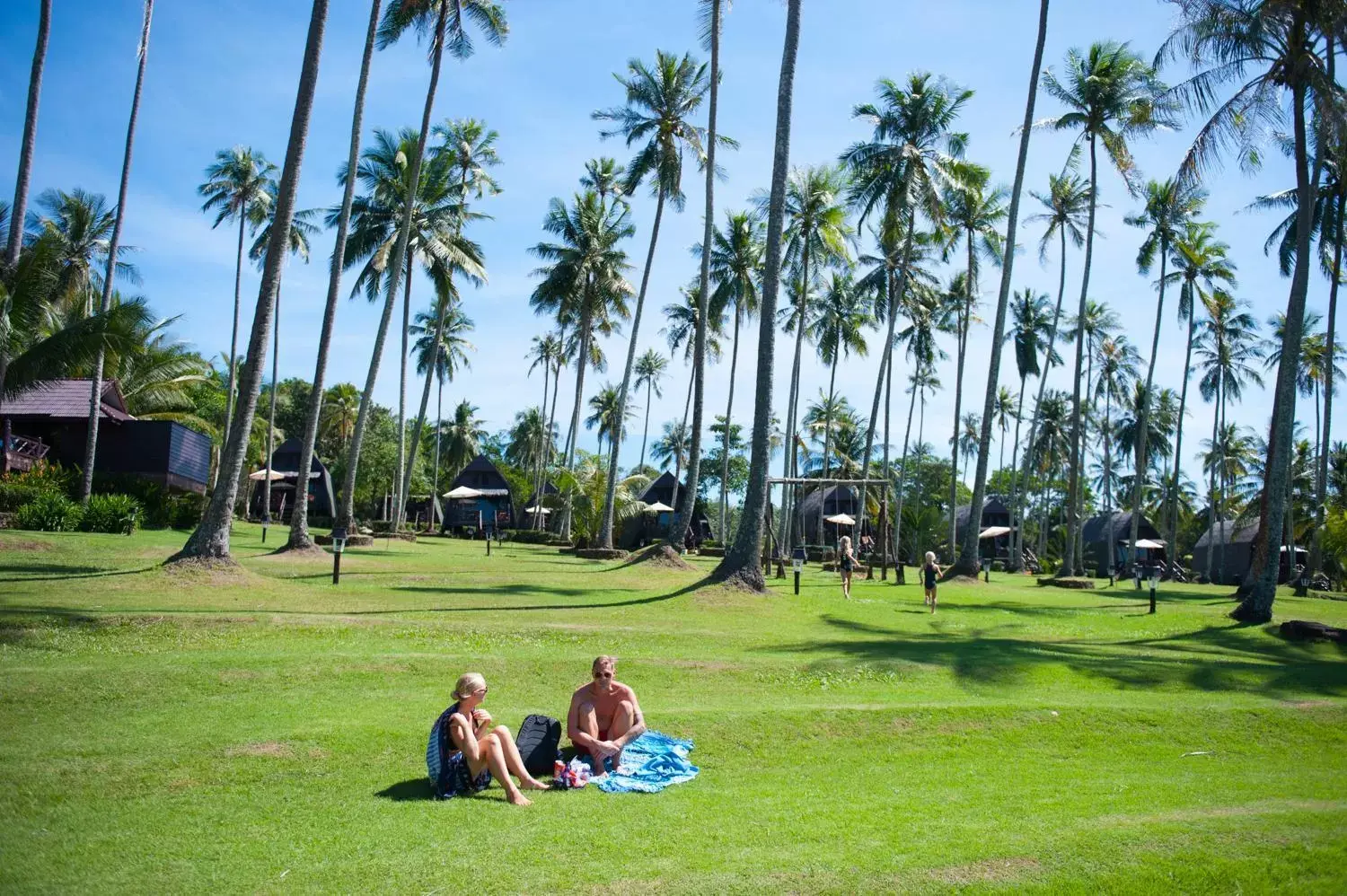 Garden in Koh Kood Beach Resort