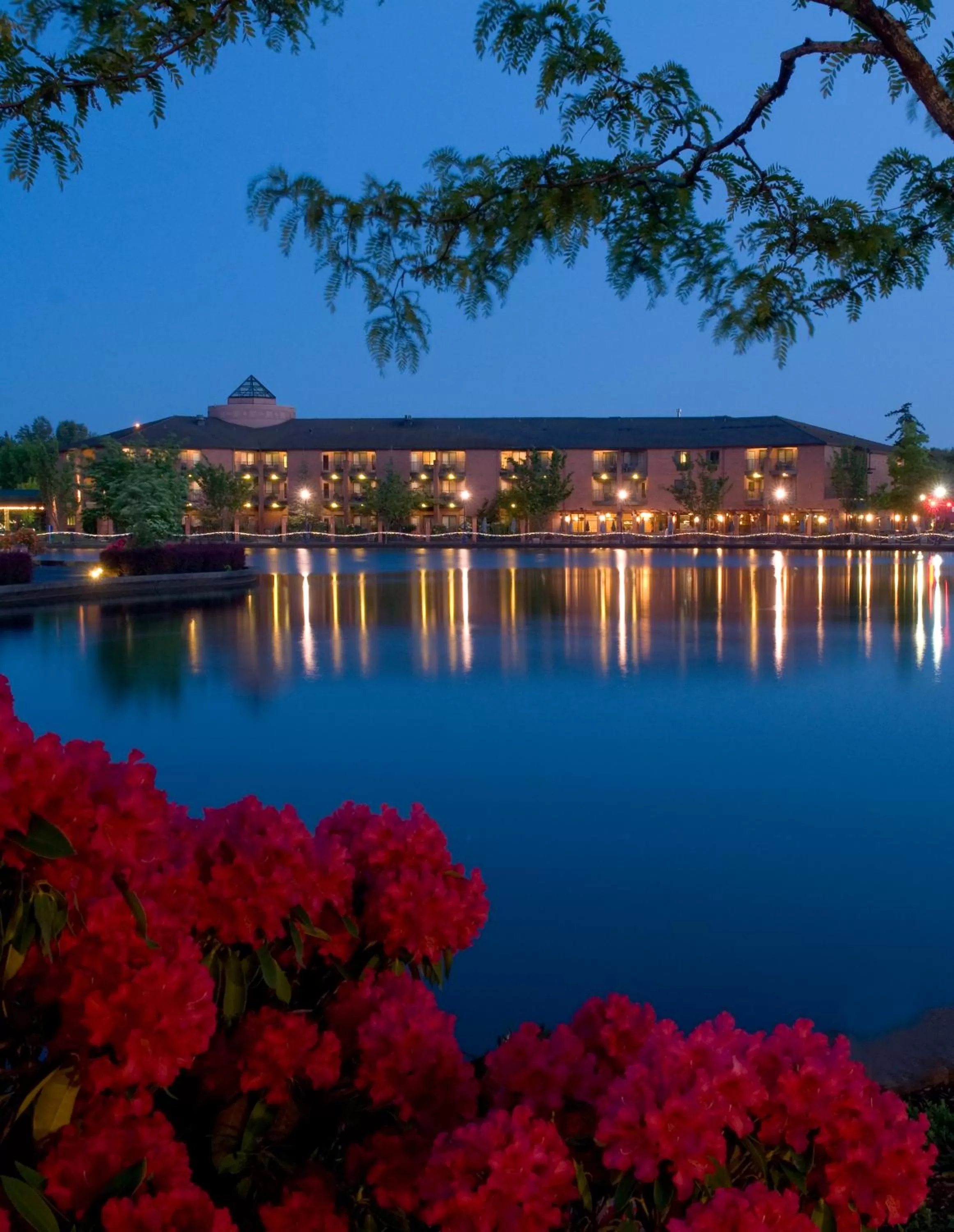 Property building in Century Hotel