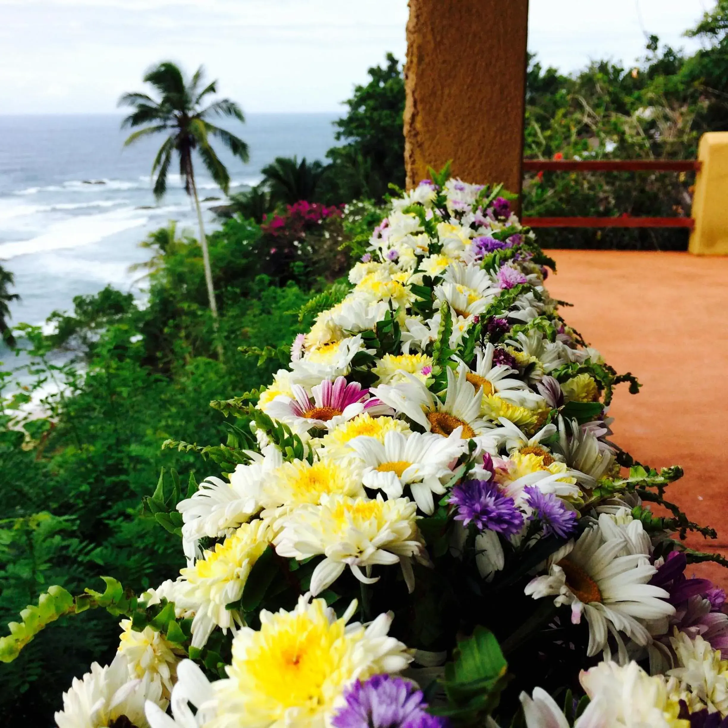 Balcony/Terrace in Eva Lanka Hotel - Beach & Wellness