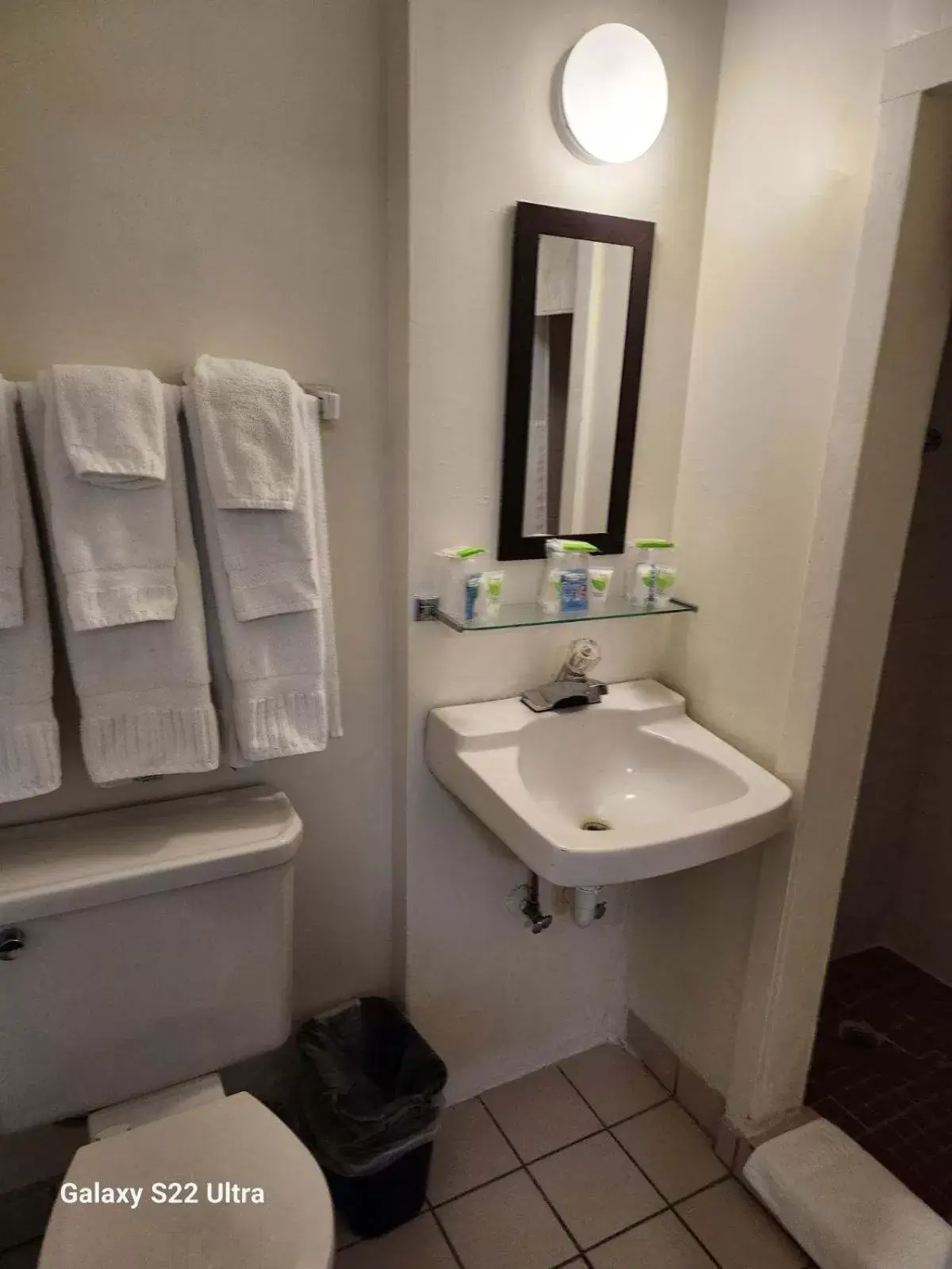Shower, Bathroom in Rose's Motel