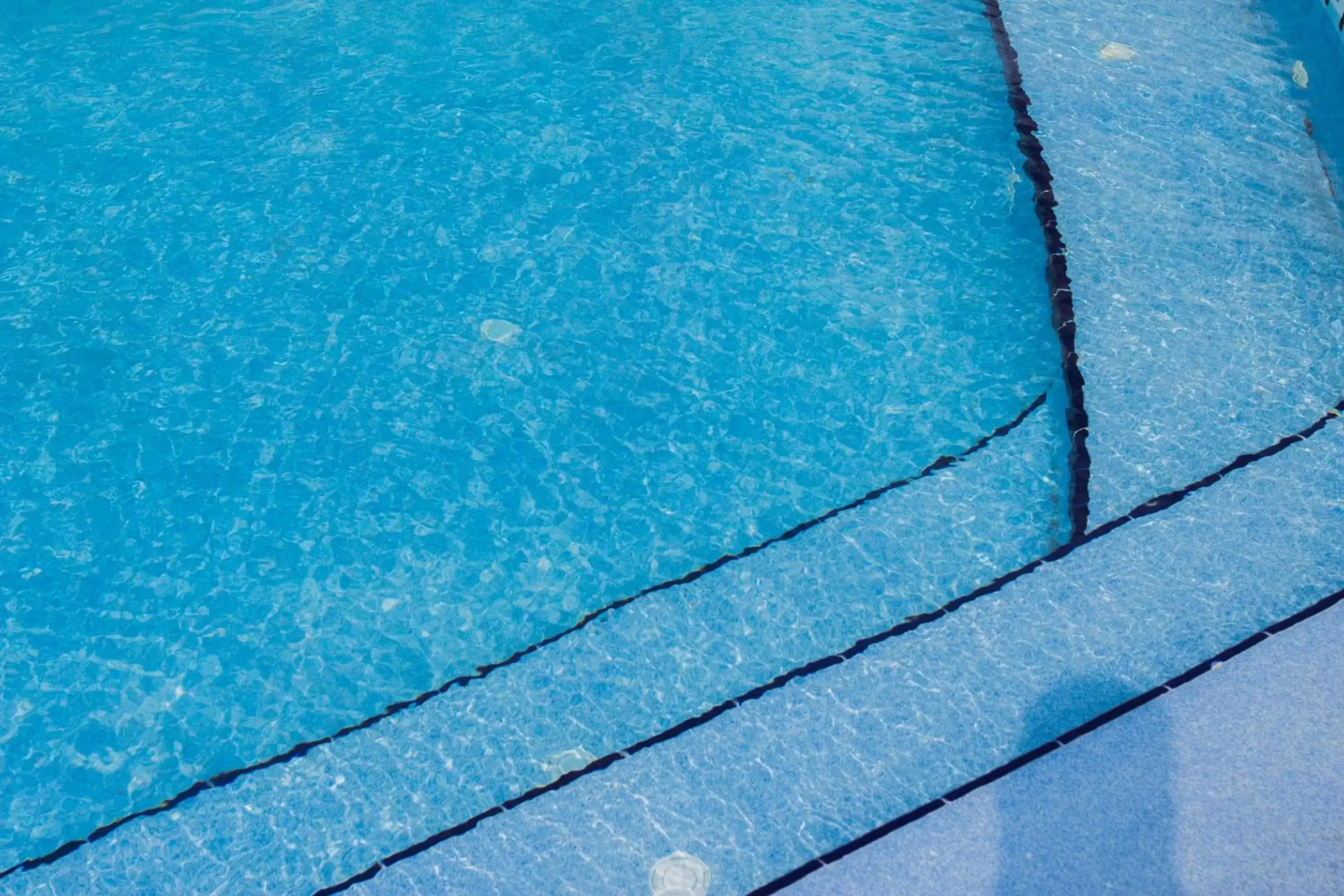 Swimming pool in La Copa Inn Beach Hotel Swimming pool in La Copa Inn Beach Hotel