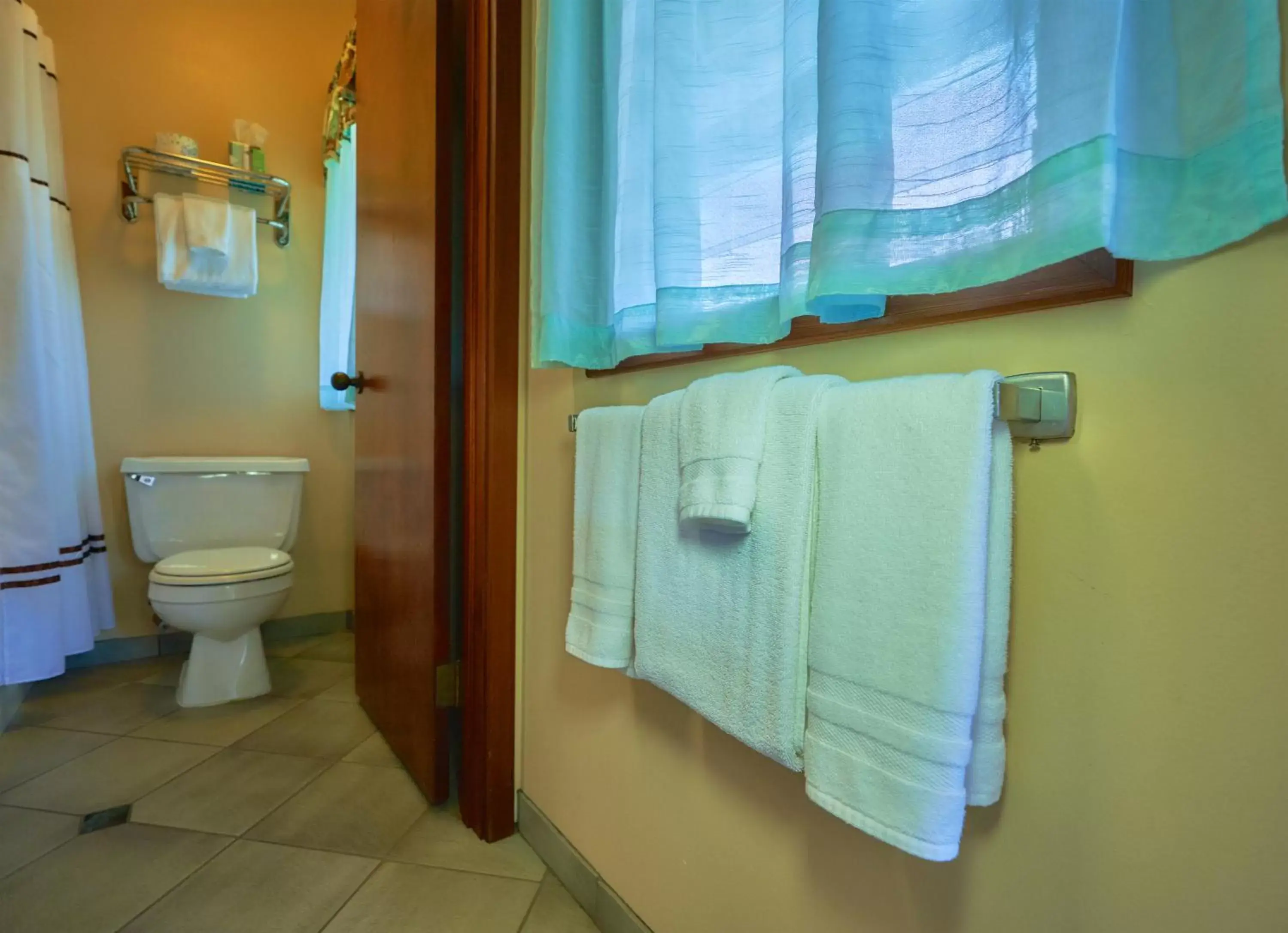 Shower, Bathroom in The Kauai Inn