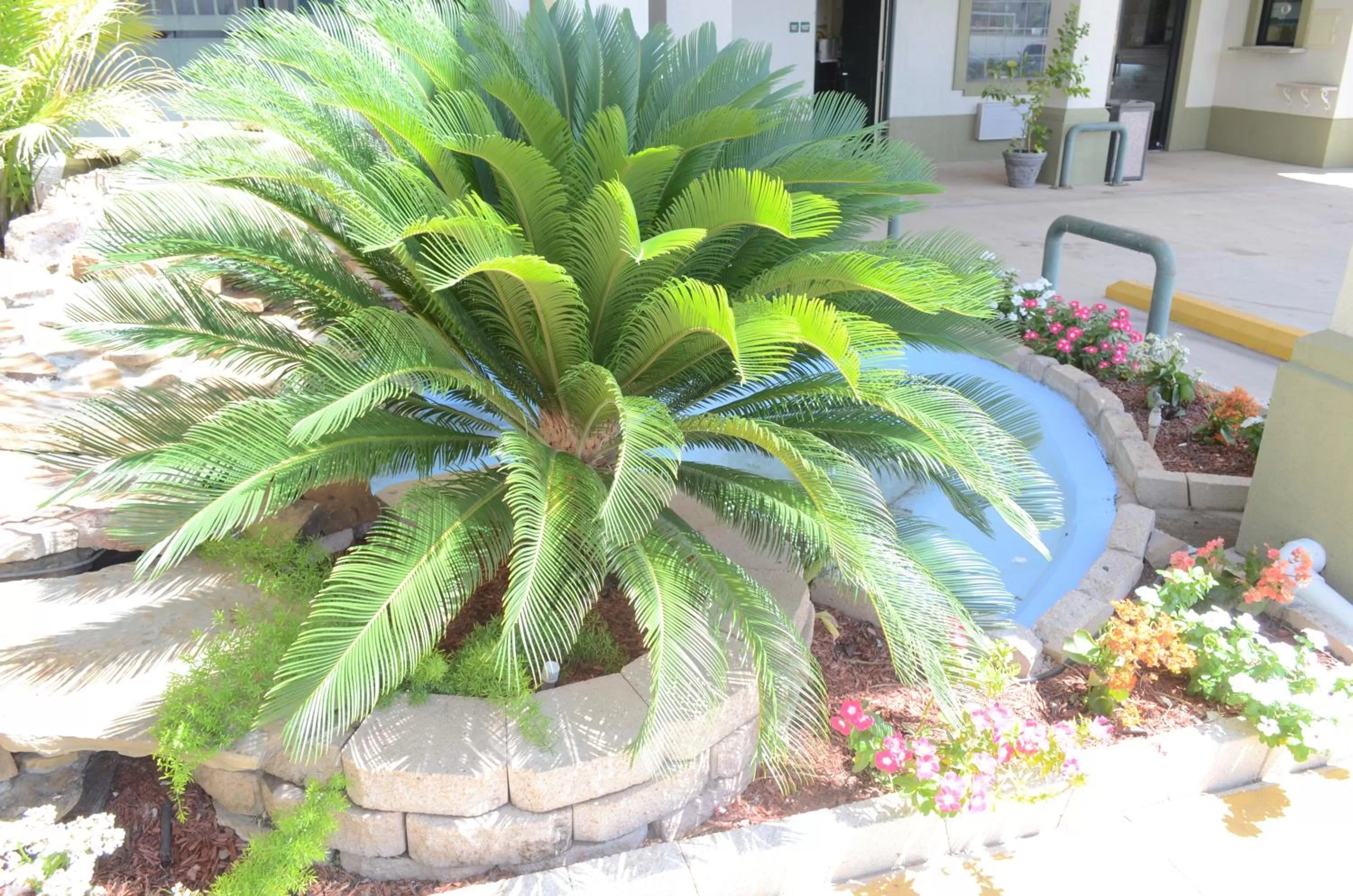 Other in Scottish Inn and Suites NRG Park/Texas Medical Center - Houston