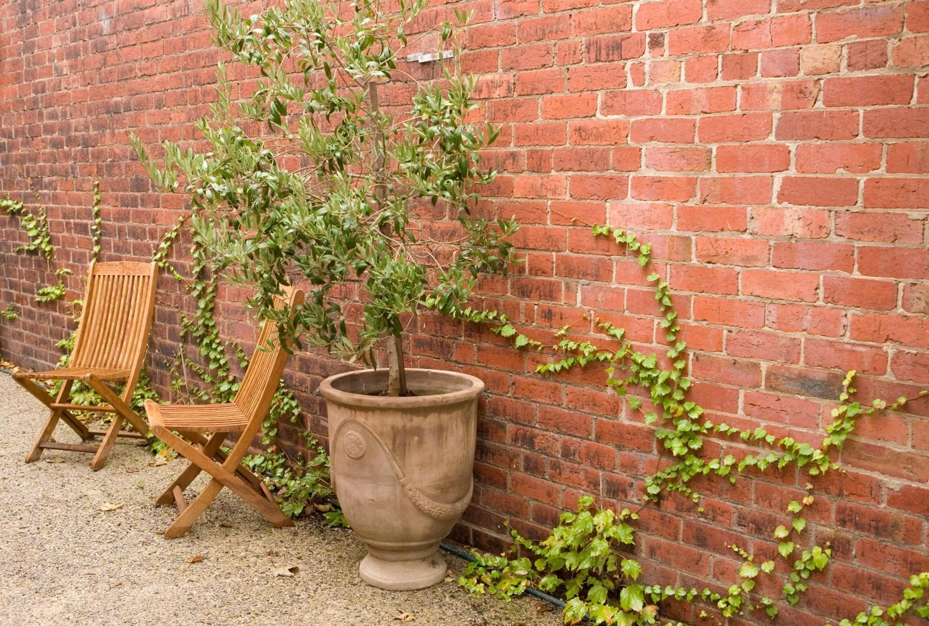 Decorative detail in Mollisons