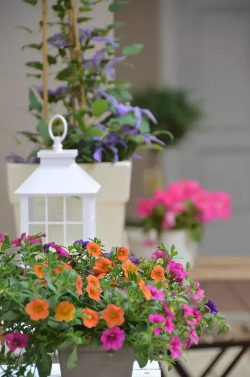 Decorative detail in B&B Mediterranea Sea House