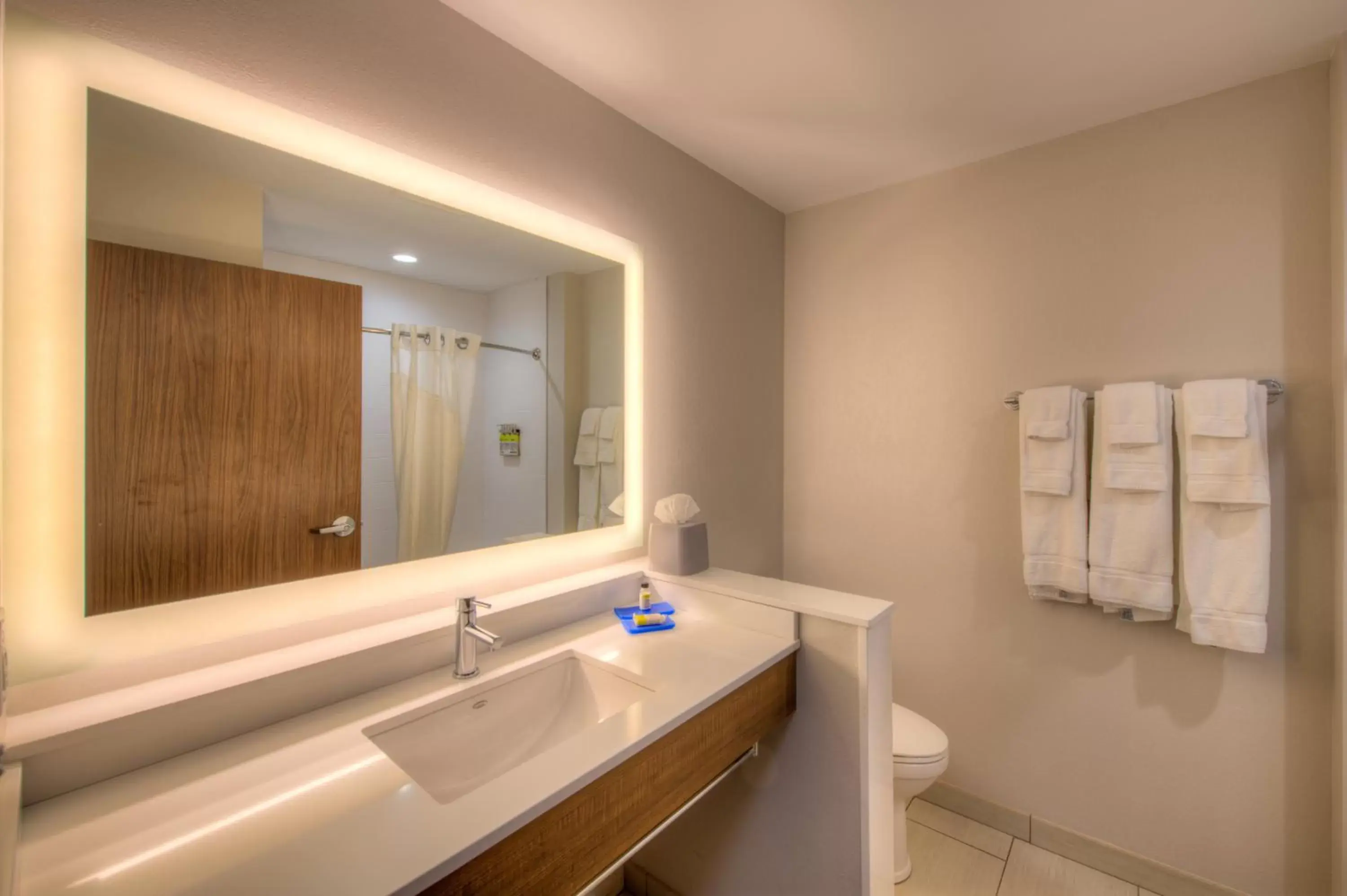 Bathroom in Holiday Inn Express & Suites - Remington, an IHG Hotel