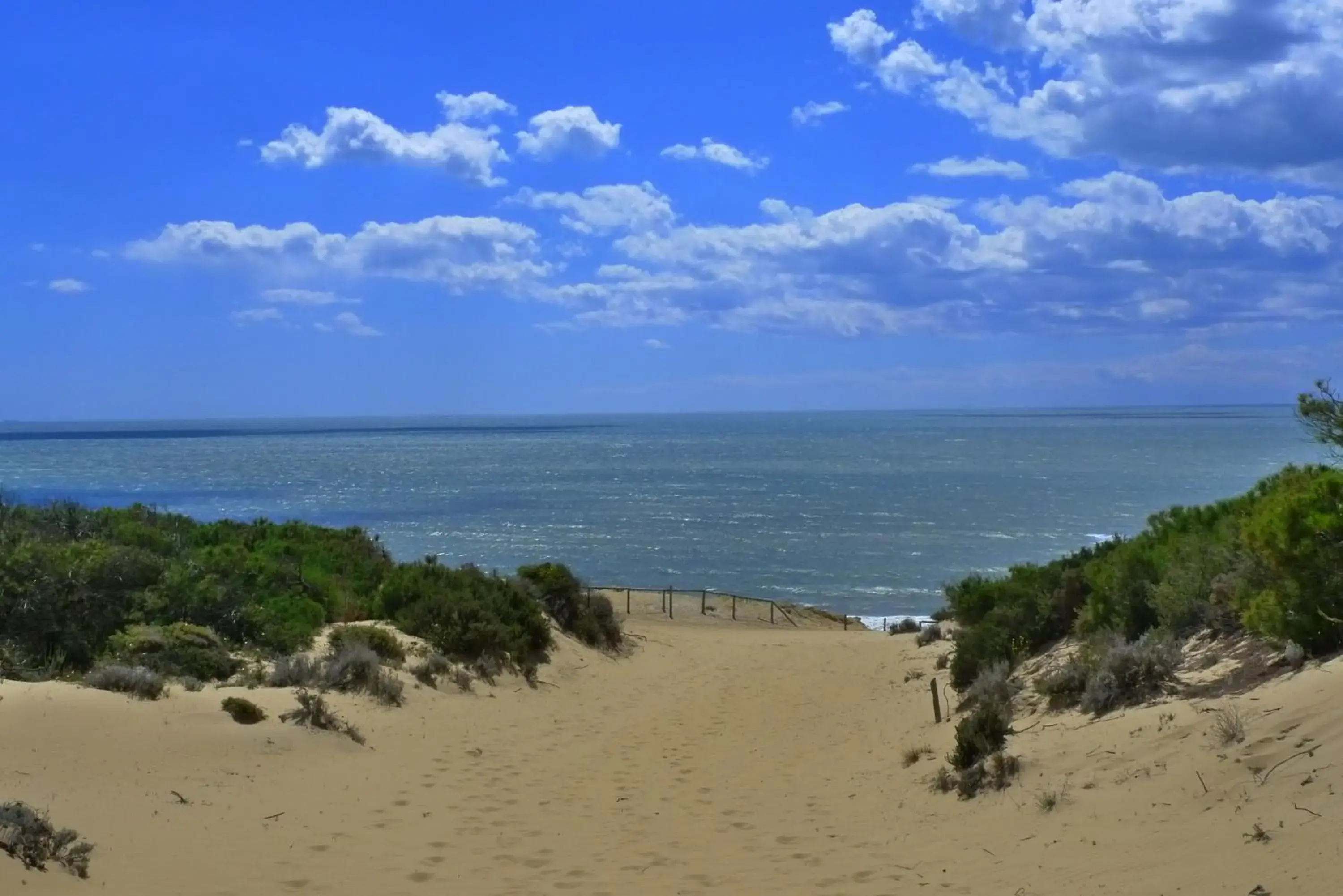 Beach in Hotel Albaida Nature