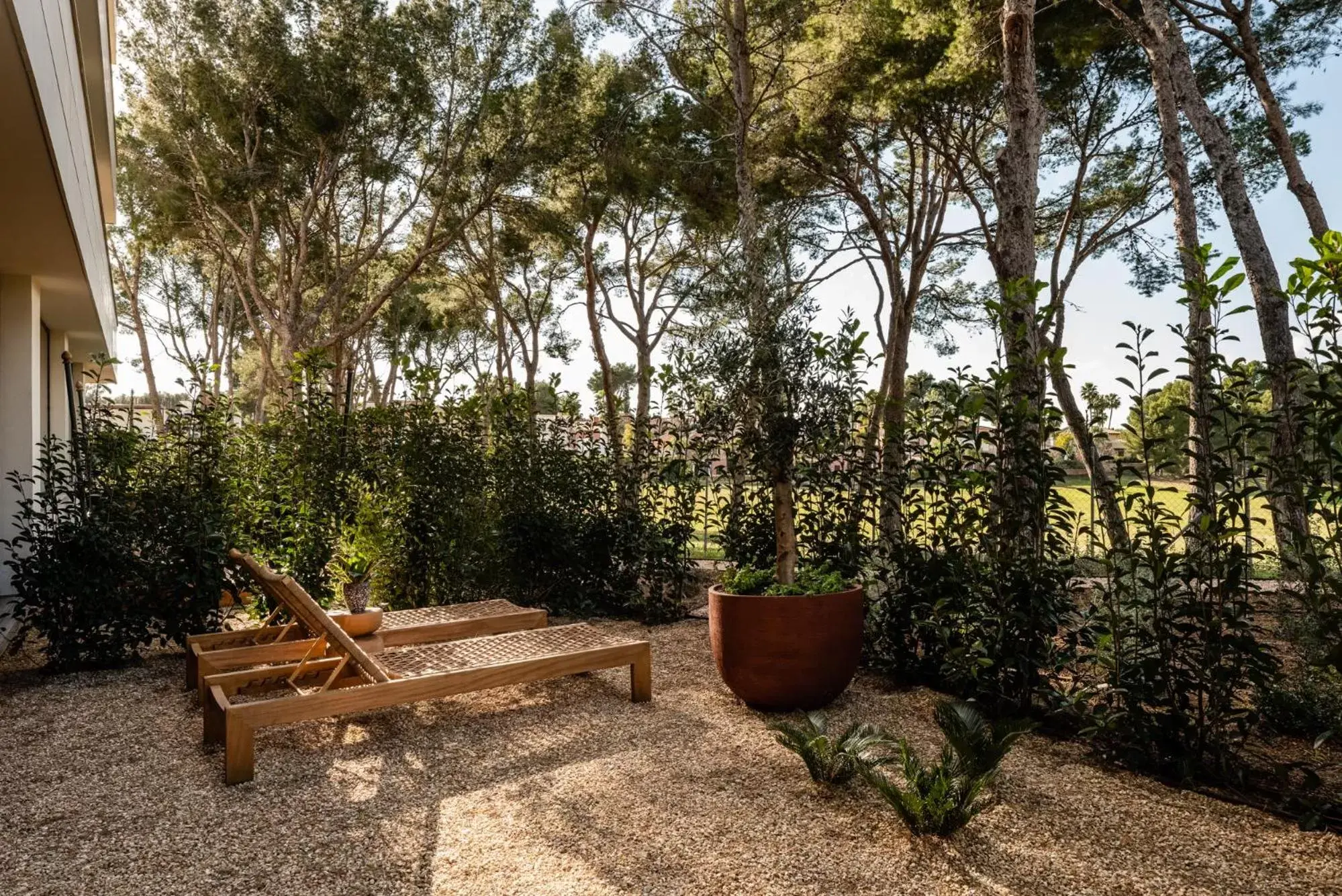 Garden in Kimpton Aysla Mallorca, an IHG Hotel